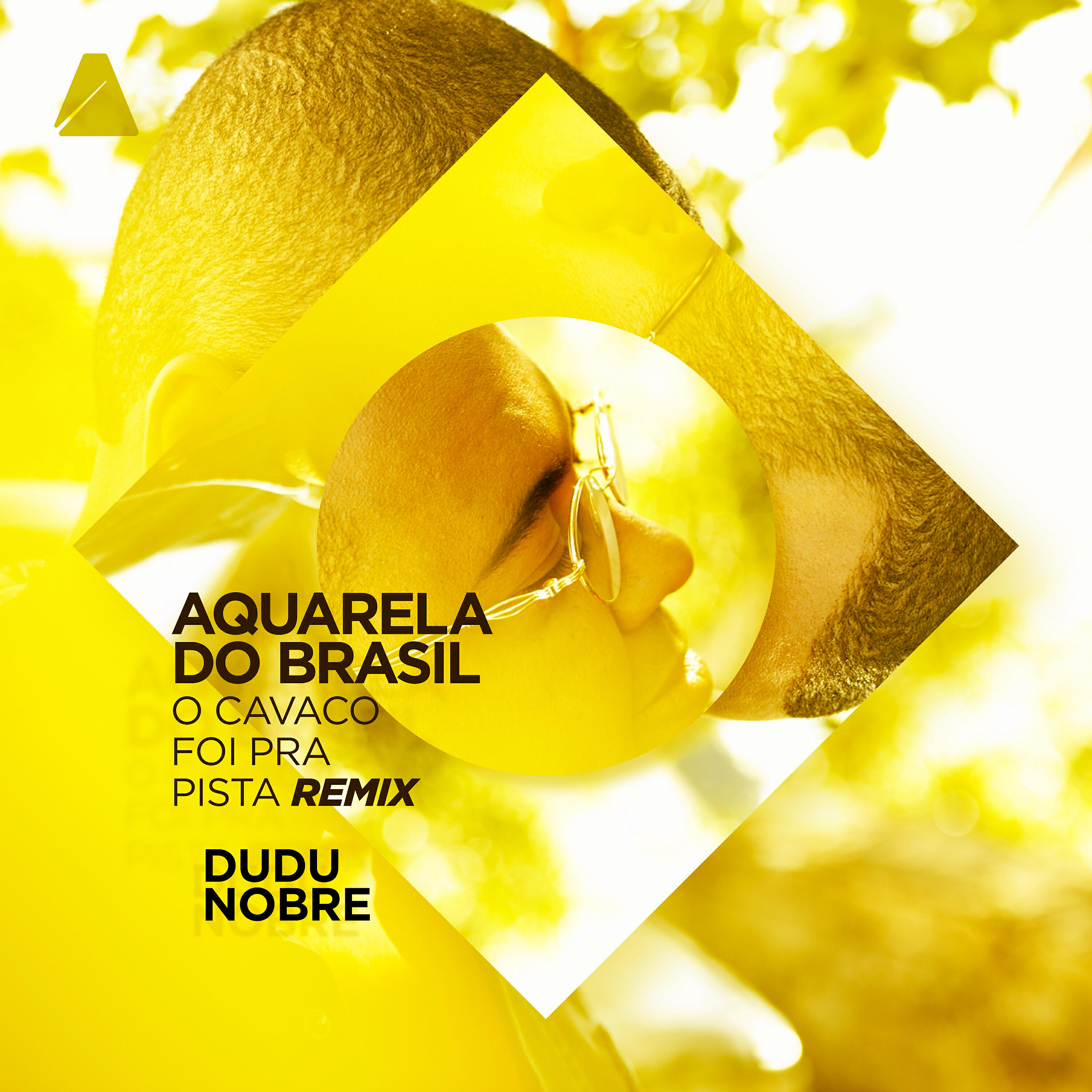 Dudu Nobre - Aquarela do Brasil ('O Cavaco Foi Pra Pista' Remix)