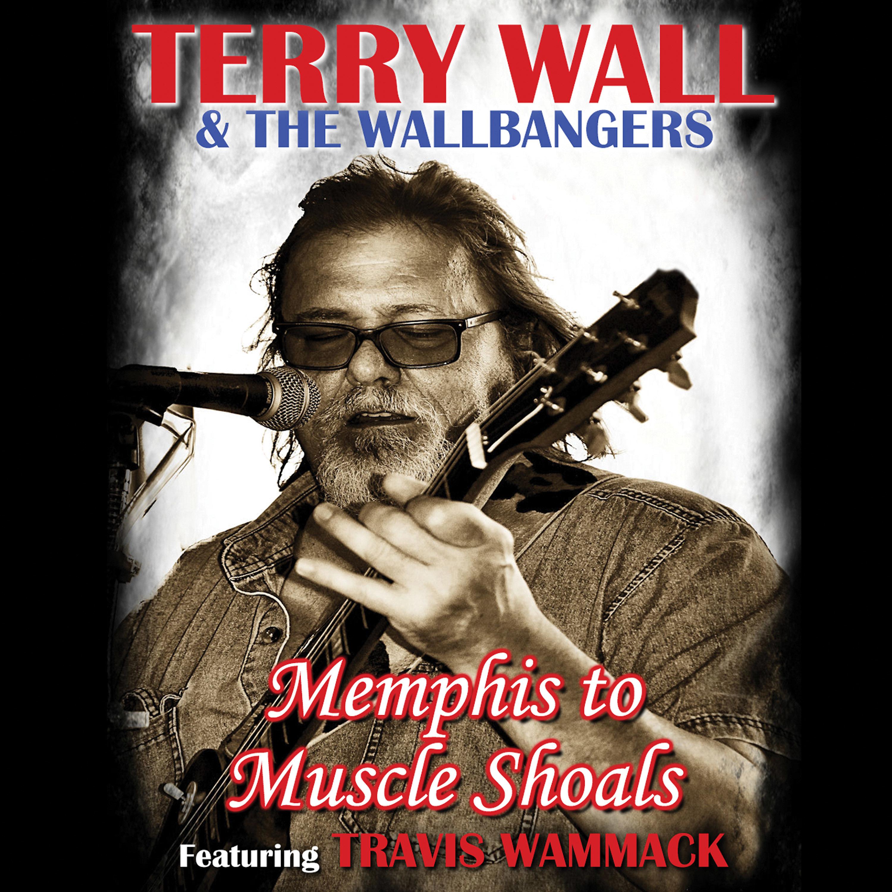 Постер альбома Memphis to Muscle Shoals (feat. Travis Wammack)