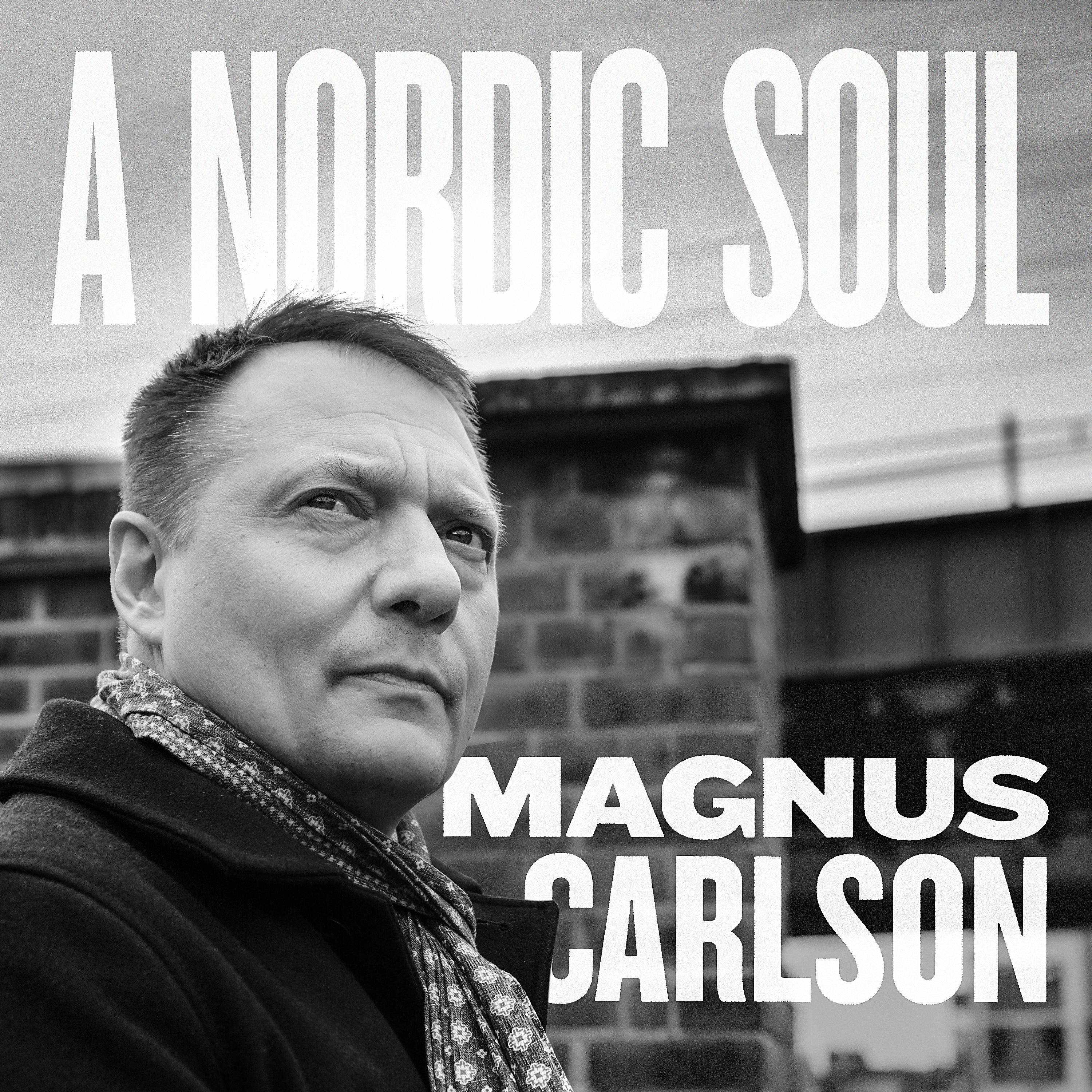 Постер альбома A Nordic Soul