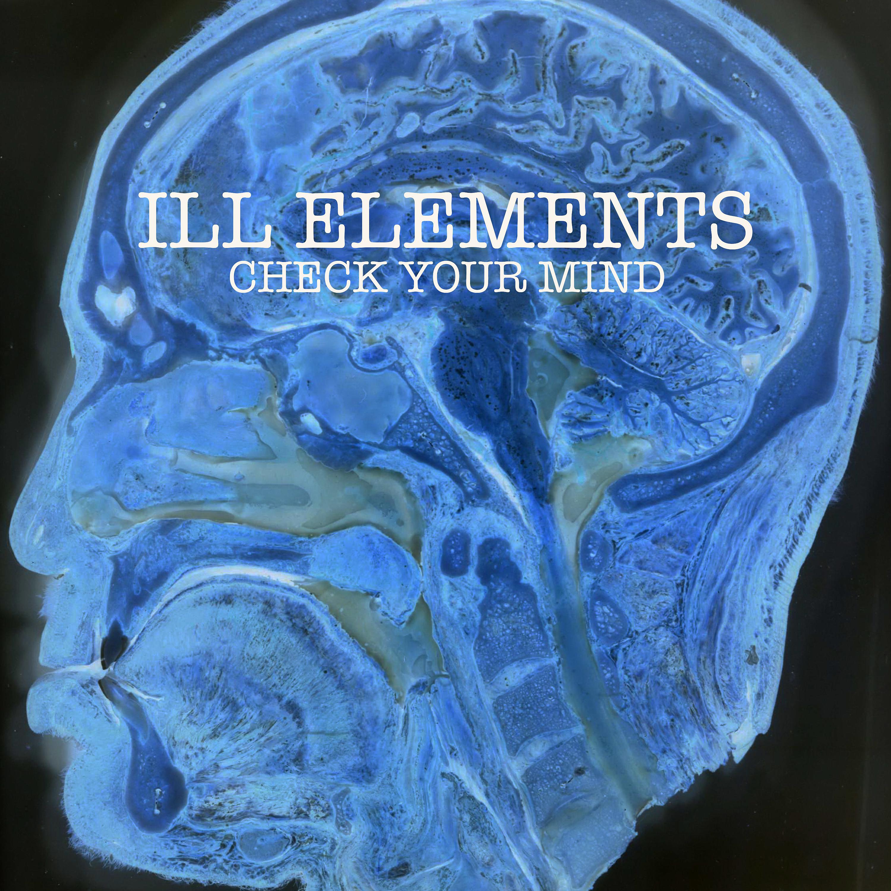 Постер альбома Check Your Mind
