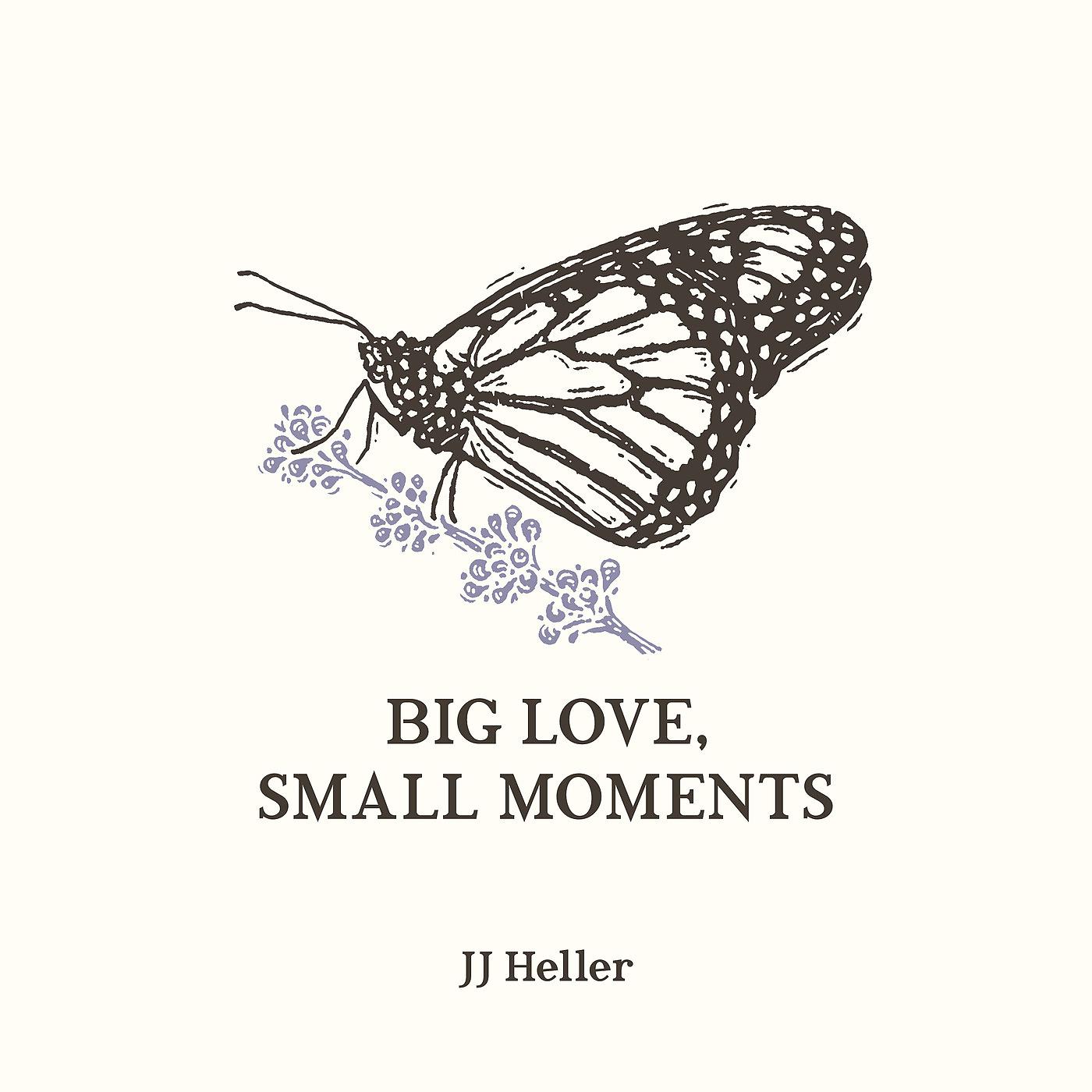 Постер альбома Big Love, Small Moments
