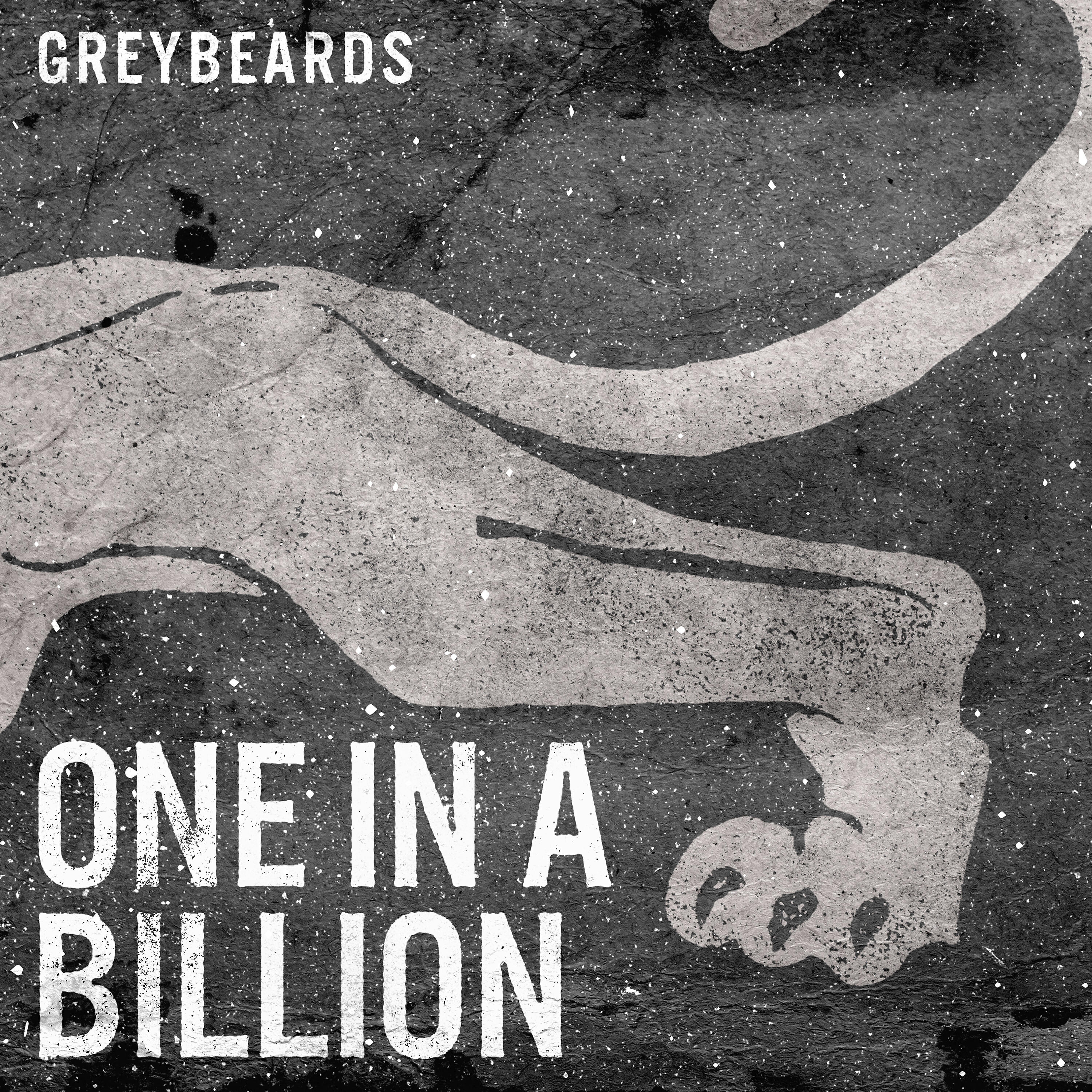 Greybeards - One in a Billion
