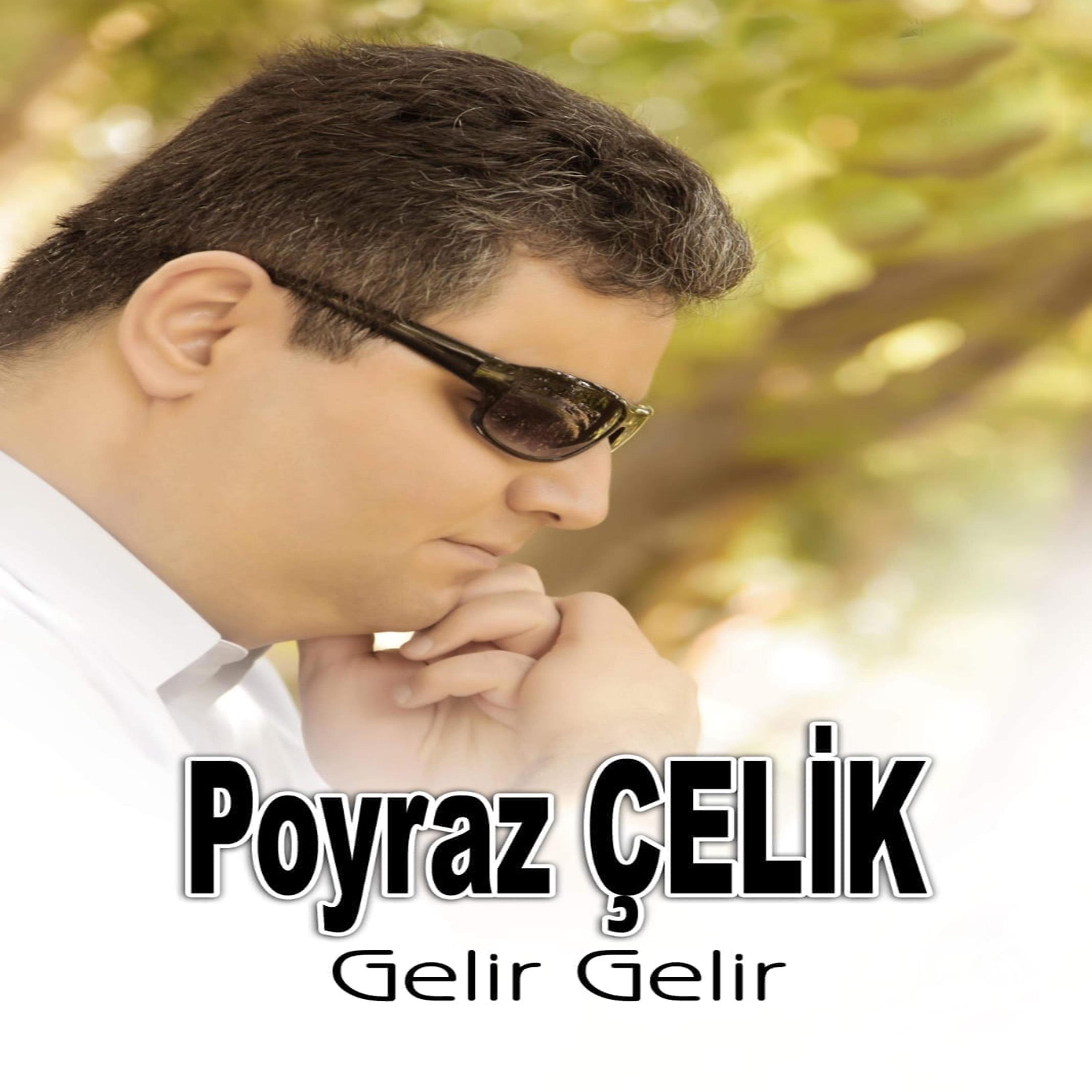 Постер альбома Gelir Gelir
