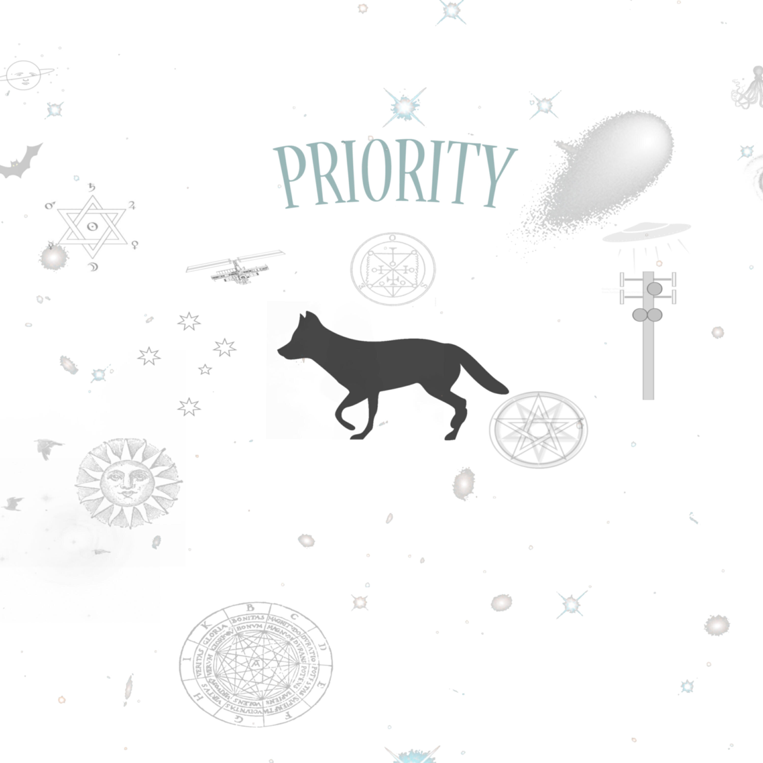 Priority - Celebrate Diversity