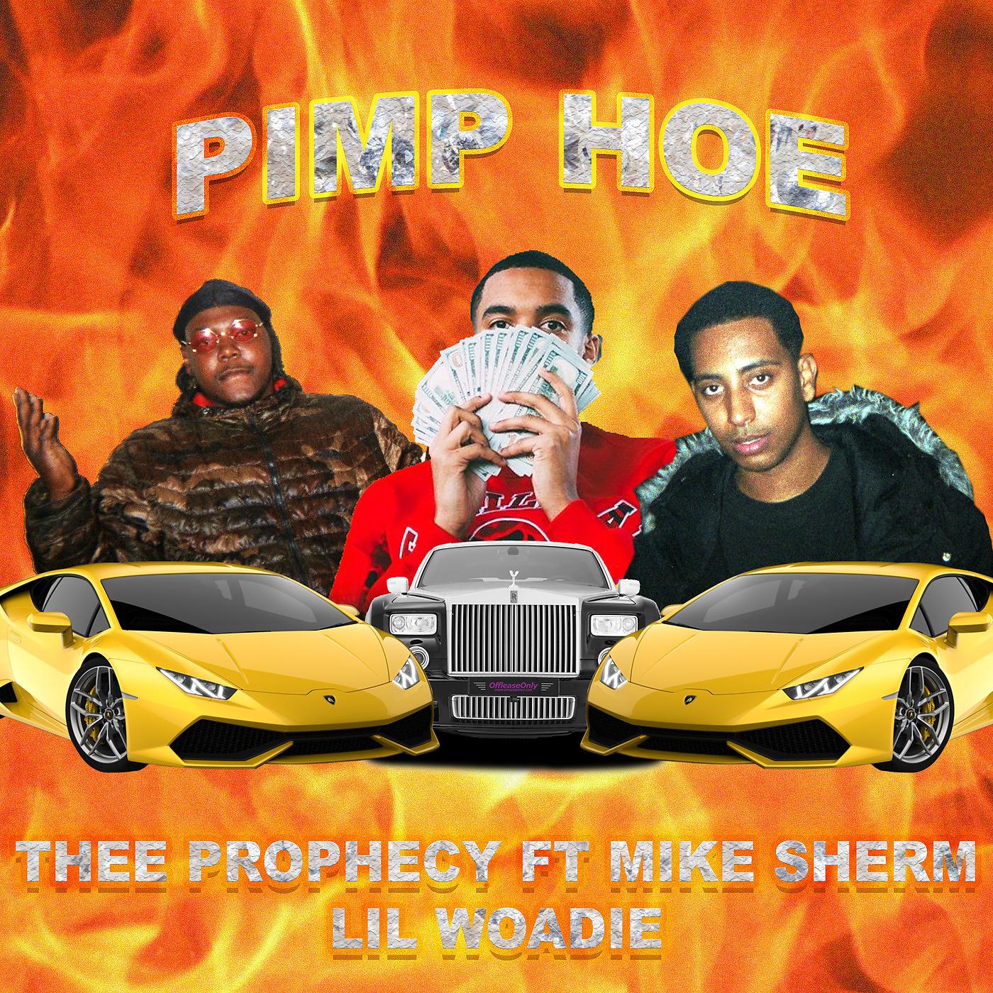 Постер альбома Pimp Hoe