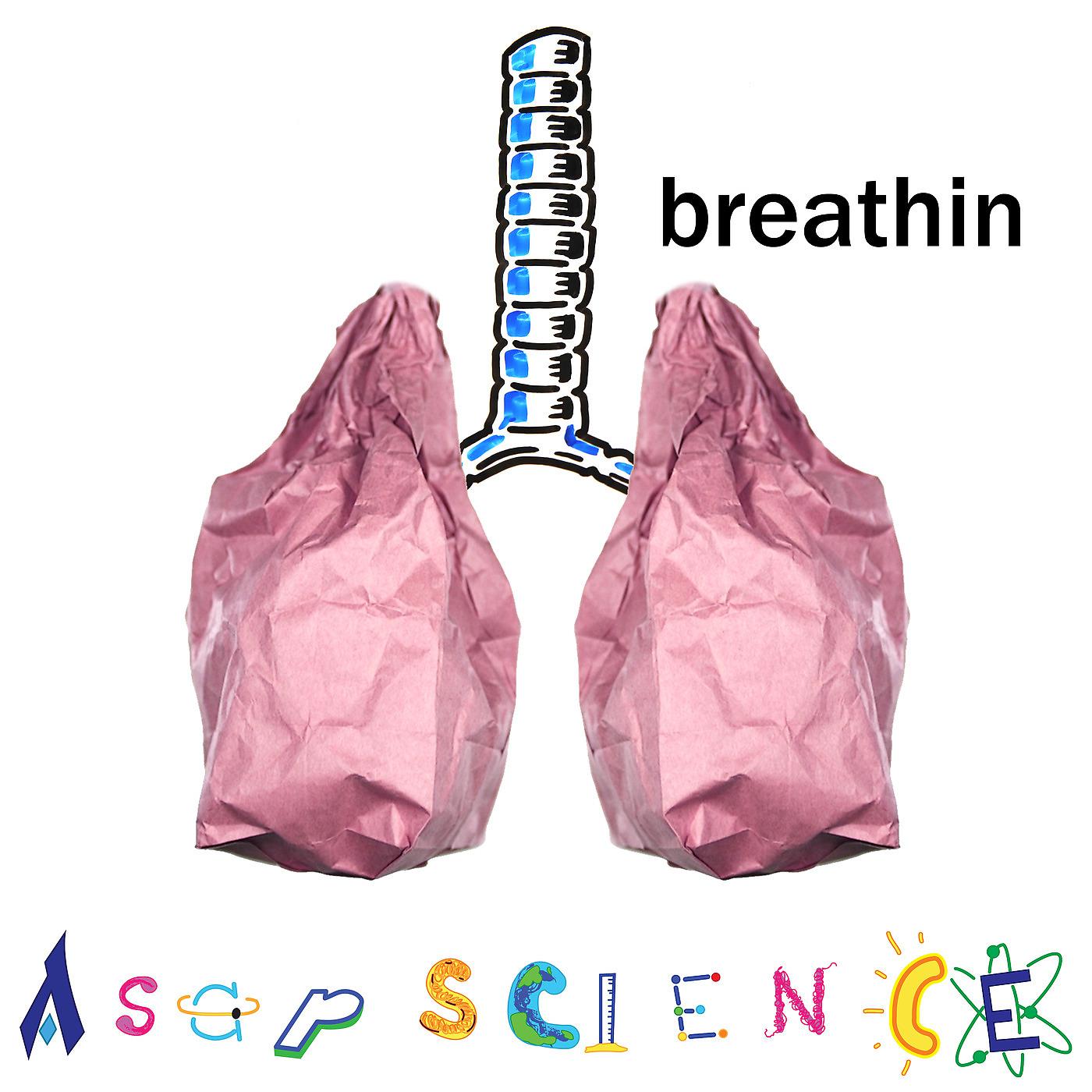Постер альбома Breathin (Science Acapella Parody)