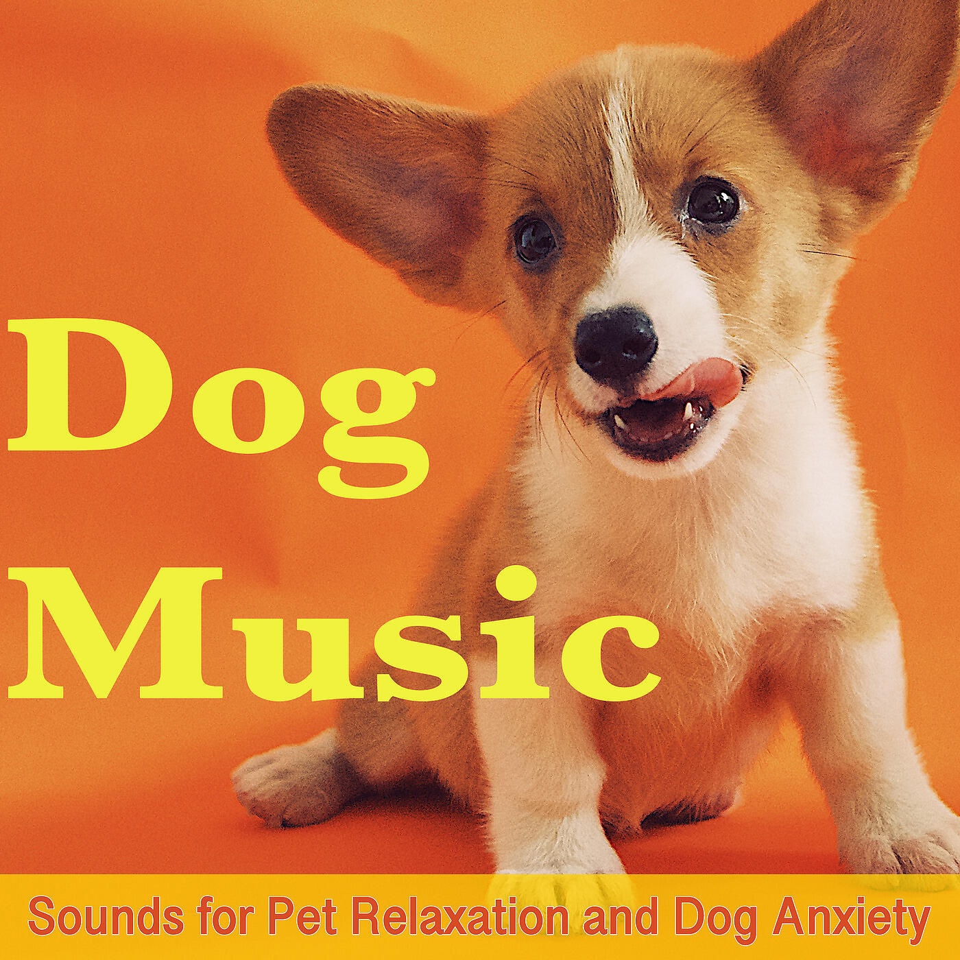 RelaxMyDog - The Best Companion