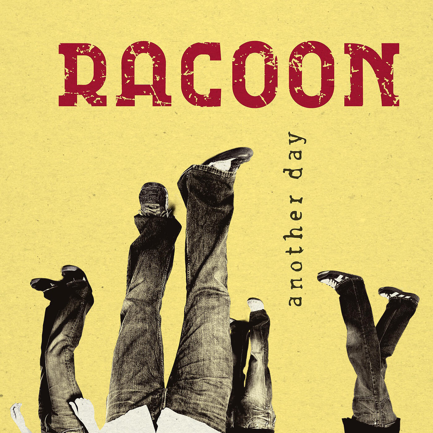 Racoon - Door Slammed