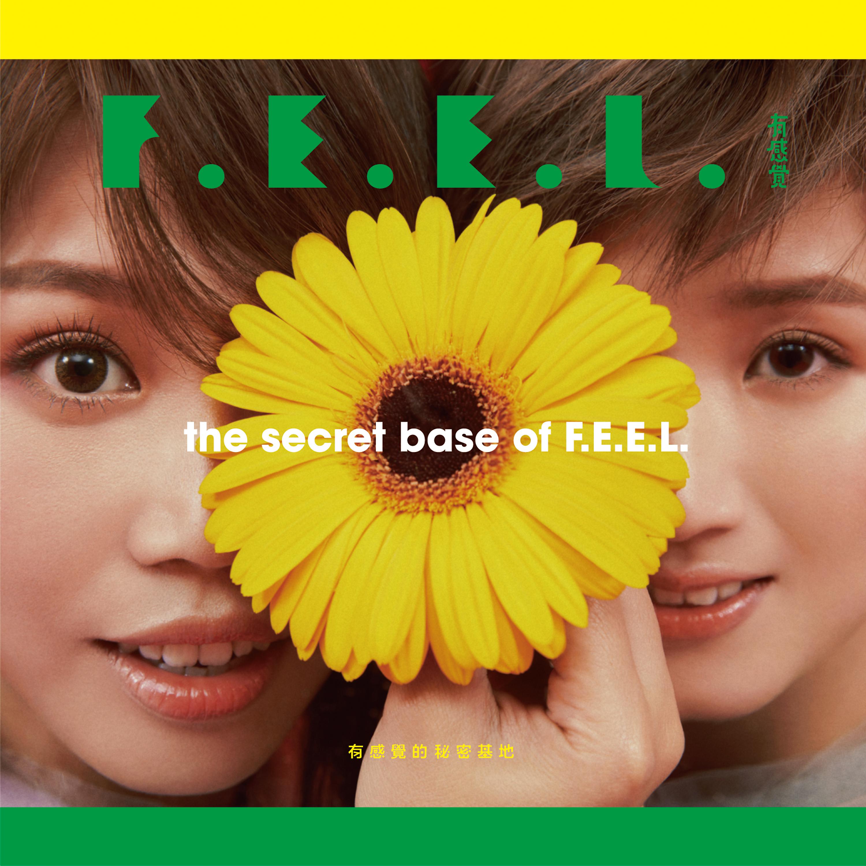 Постер альбома The Secret Base Of F.E.E.L.