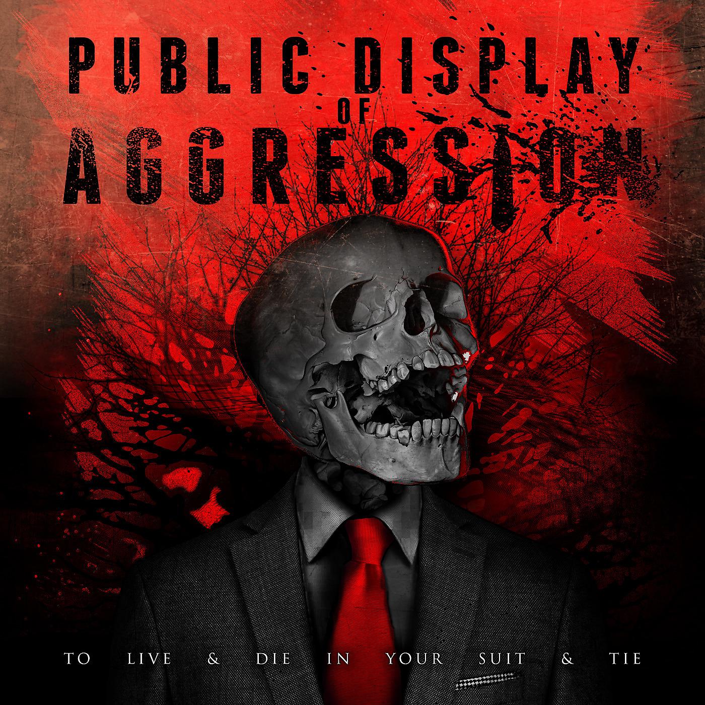 Public Display Of Aggression - I Didn't Tell You to Move