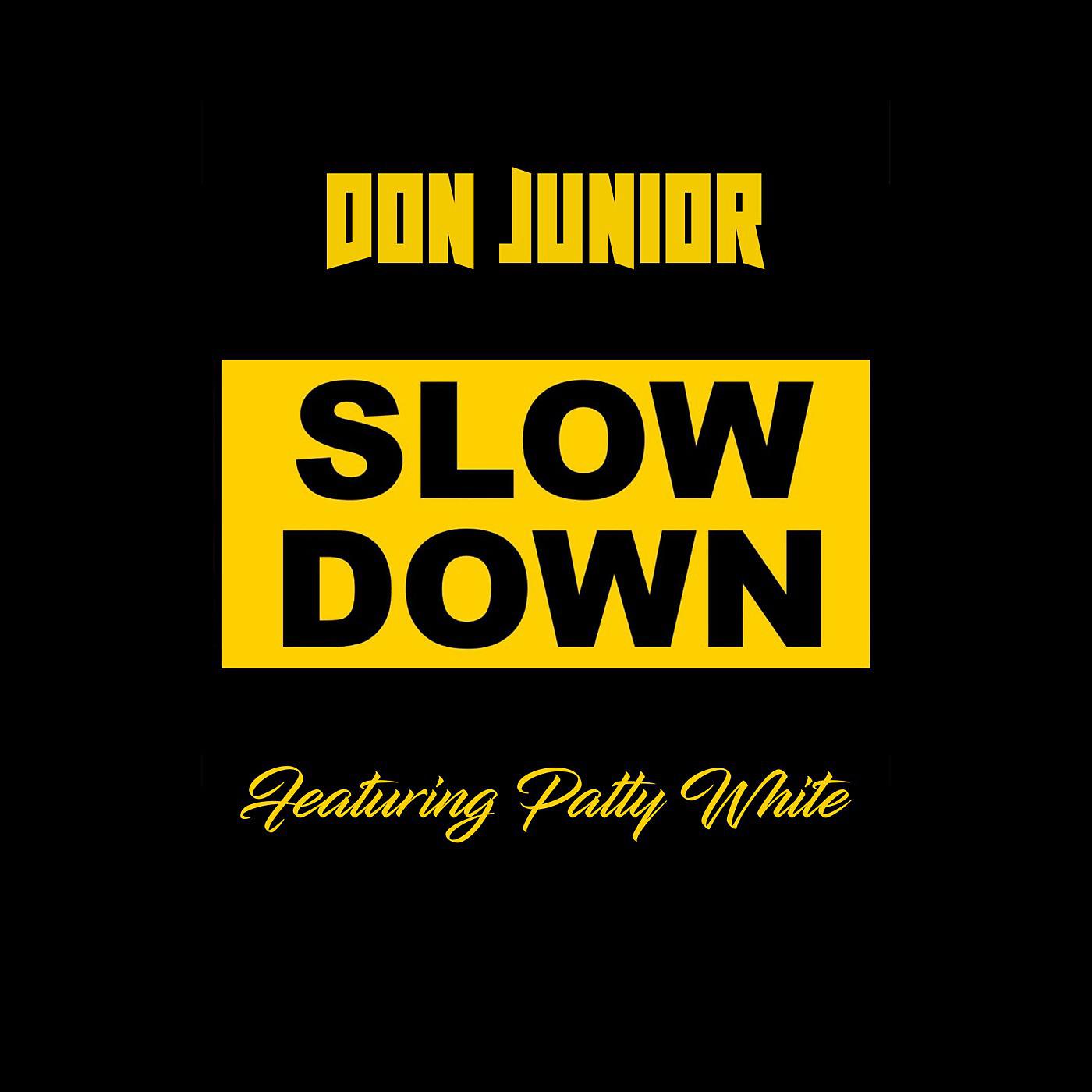 Постер альбома Slow Down (feat. Patty White)