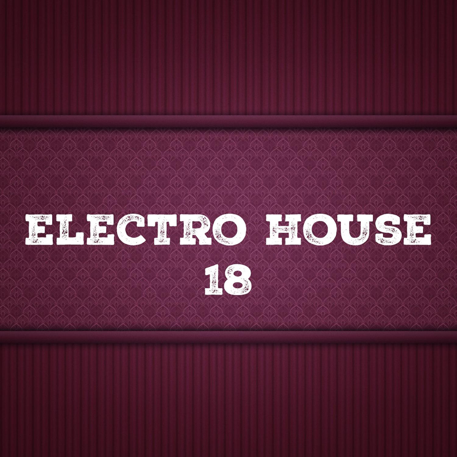 Постер альбома Electro House, Vol. 18