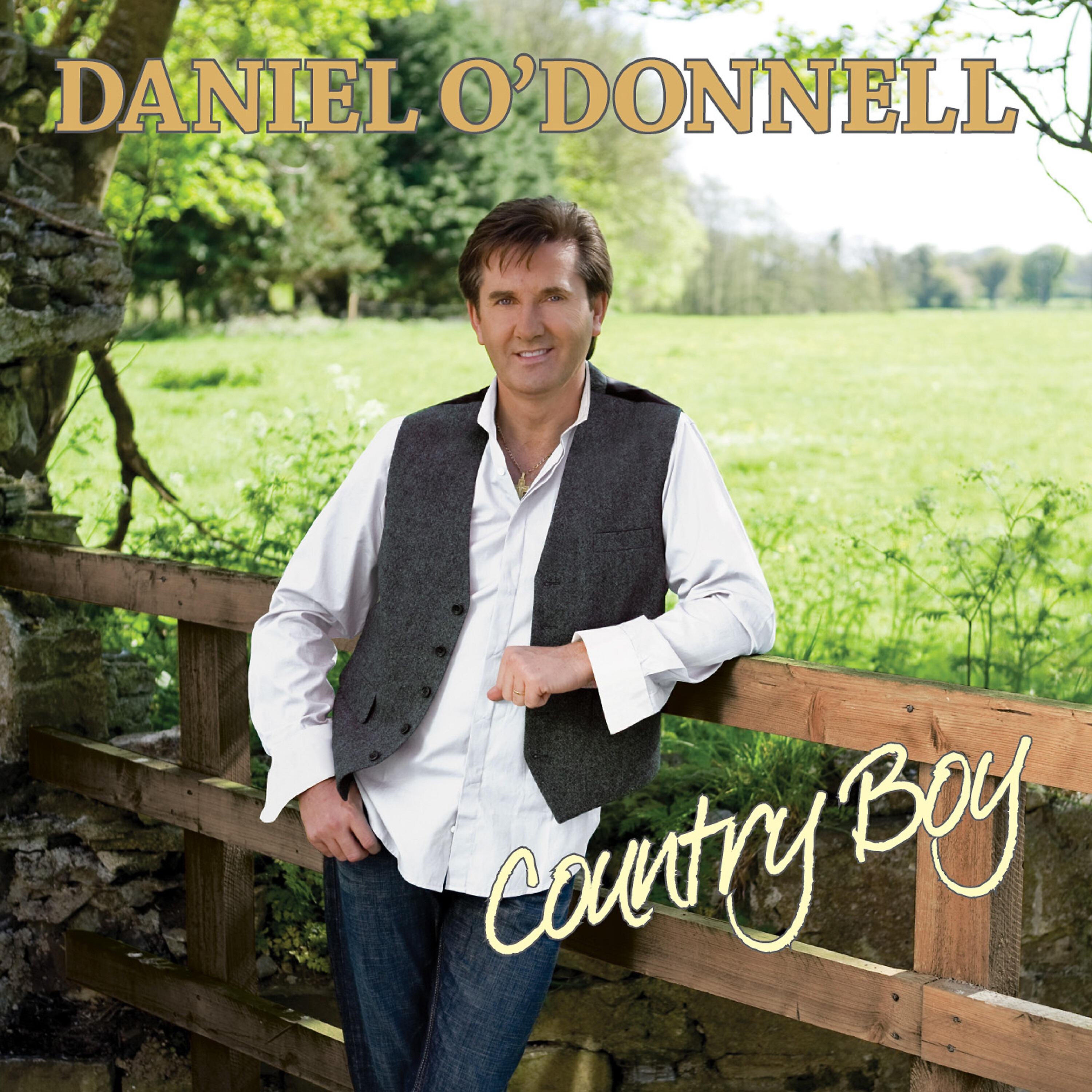 Daniel O'Donnell - Little Ole Wine Drinker Me