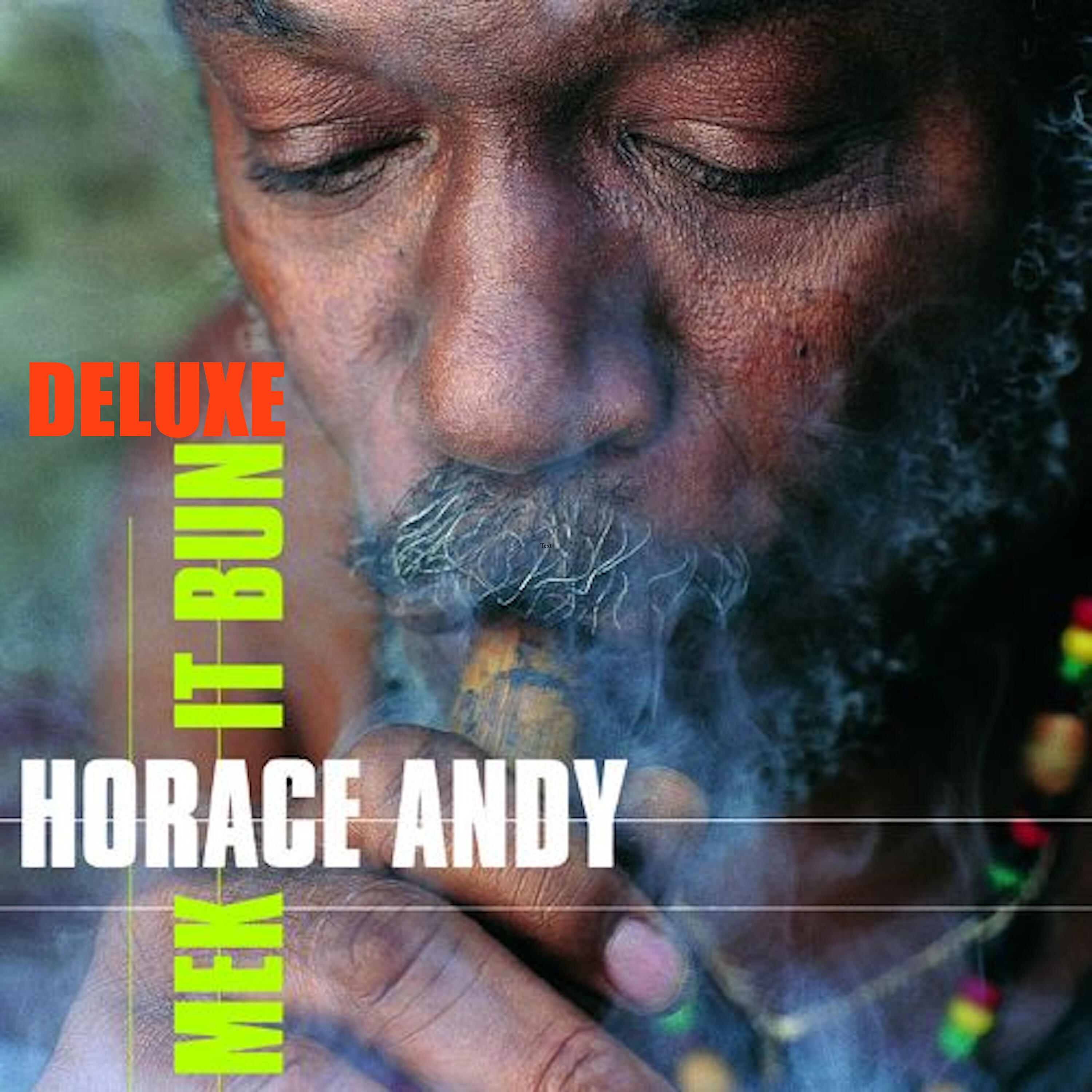 Horace Andy - Mr. Wicked Man