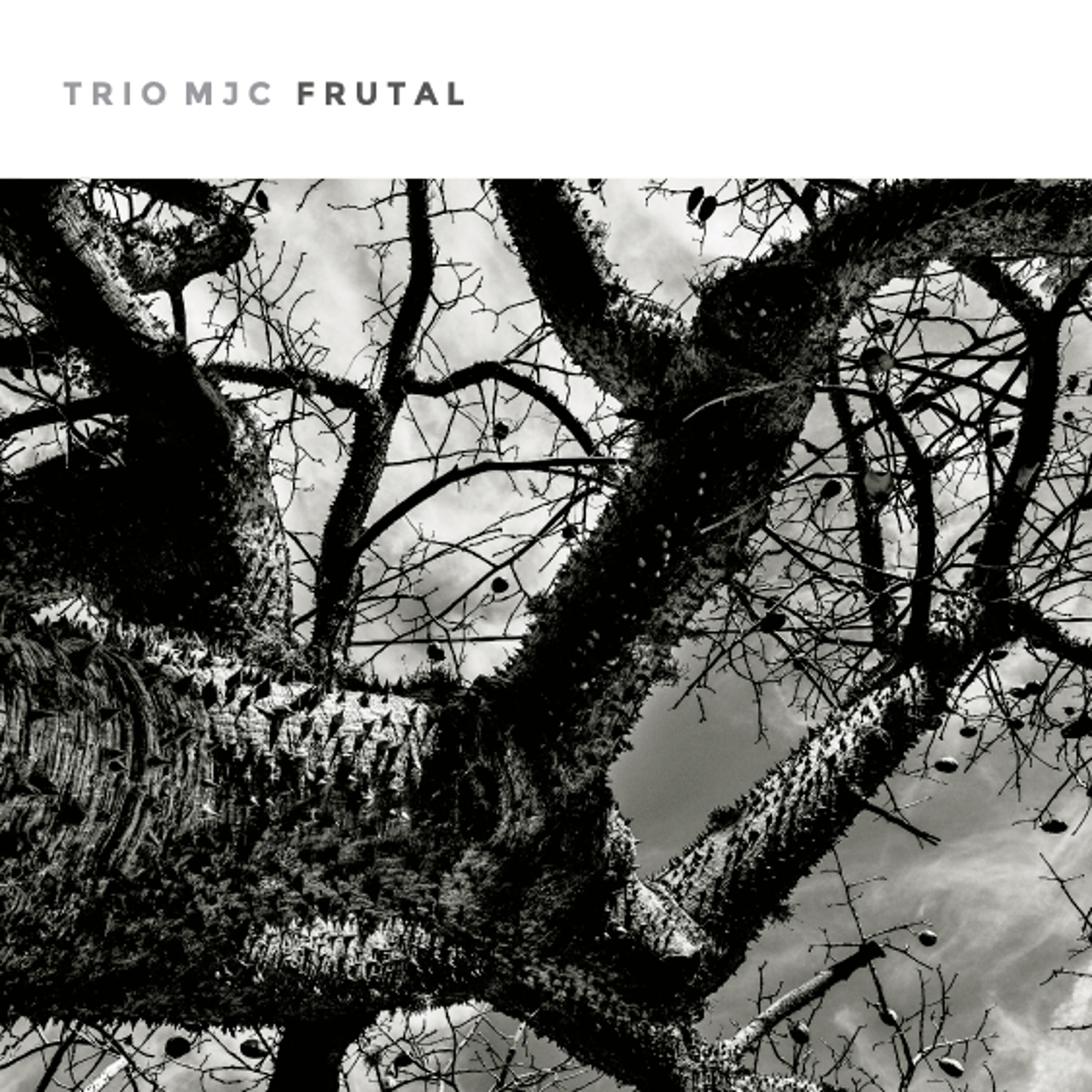 Trio MJC - Nino de Sal