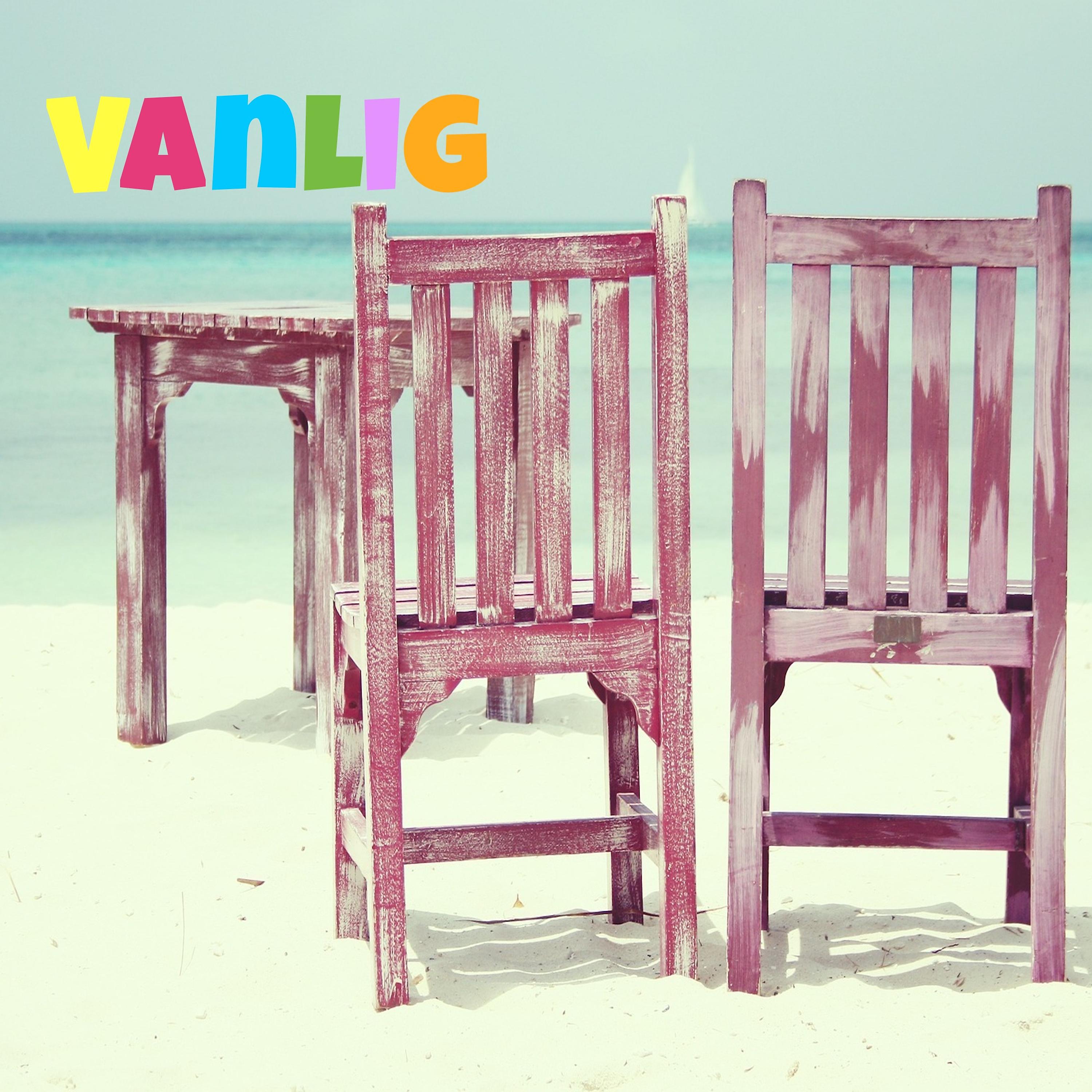 Постер альбома Vanlig