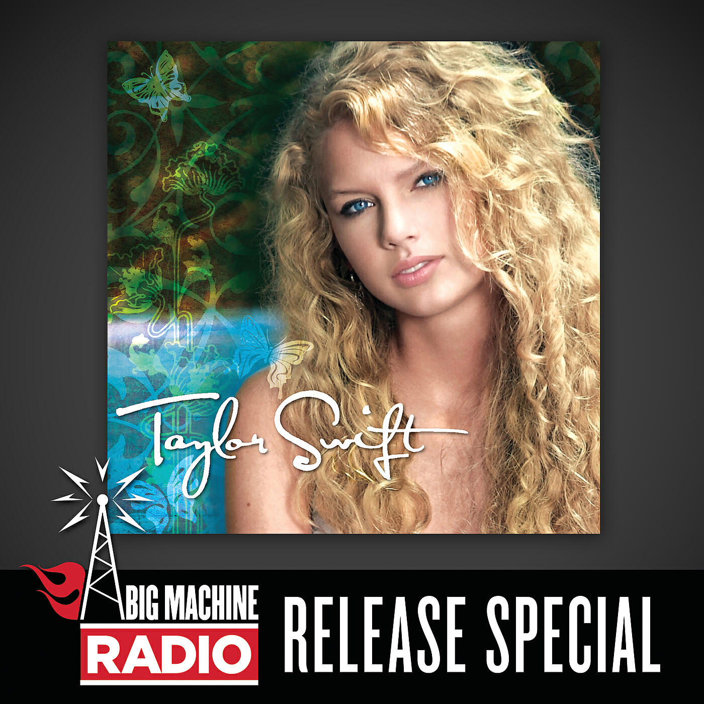 Taylor Swift - Cold As You (Commentary)