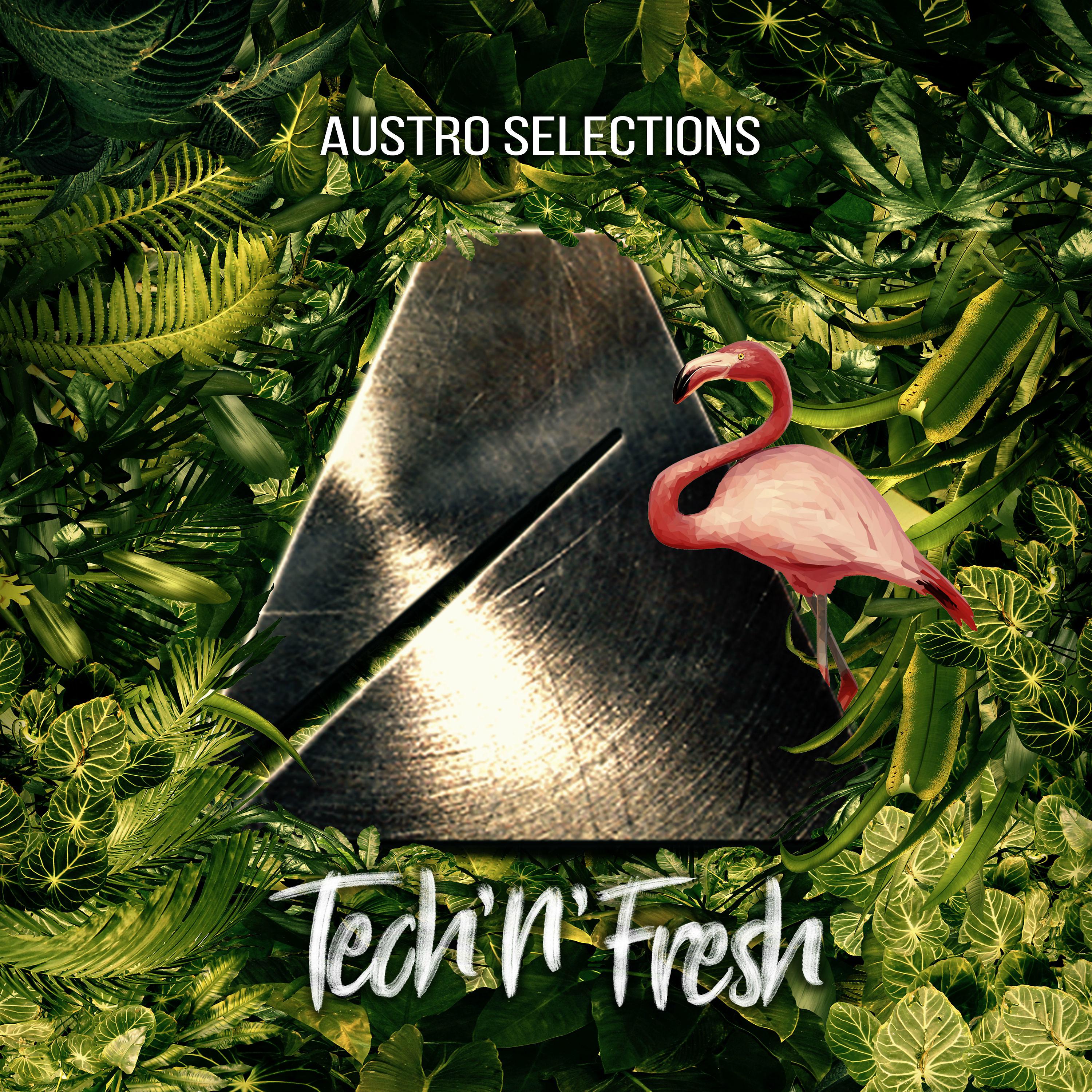 Постер альбома Austro Selections: Tech'n'fresh