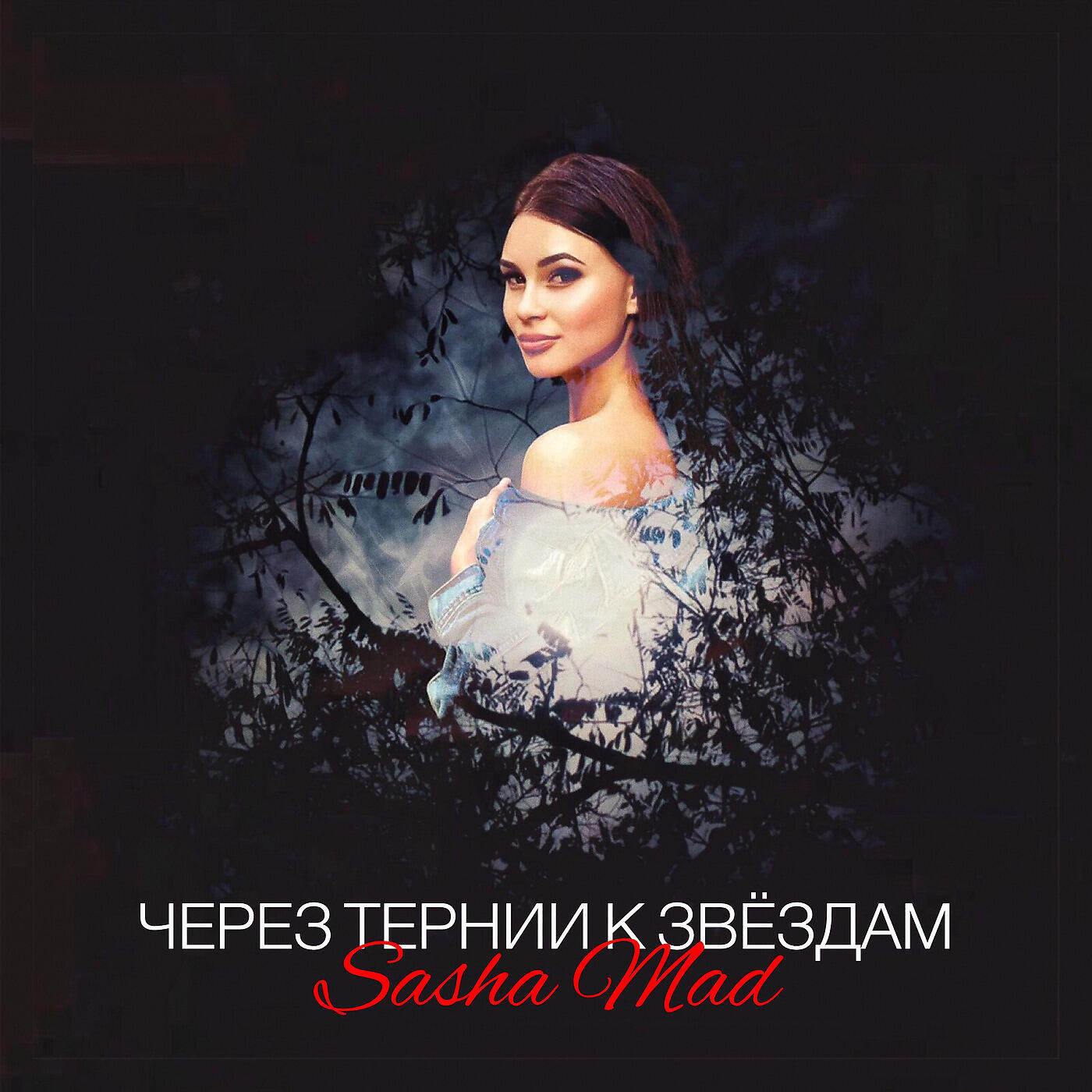 Альбом через. Через тернии к звездам Sasha Mad. Слова через тернии к звездам. Текст песни через тернии к звездам. Через Терни к звёздам песн.