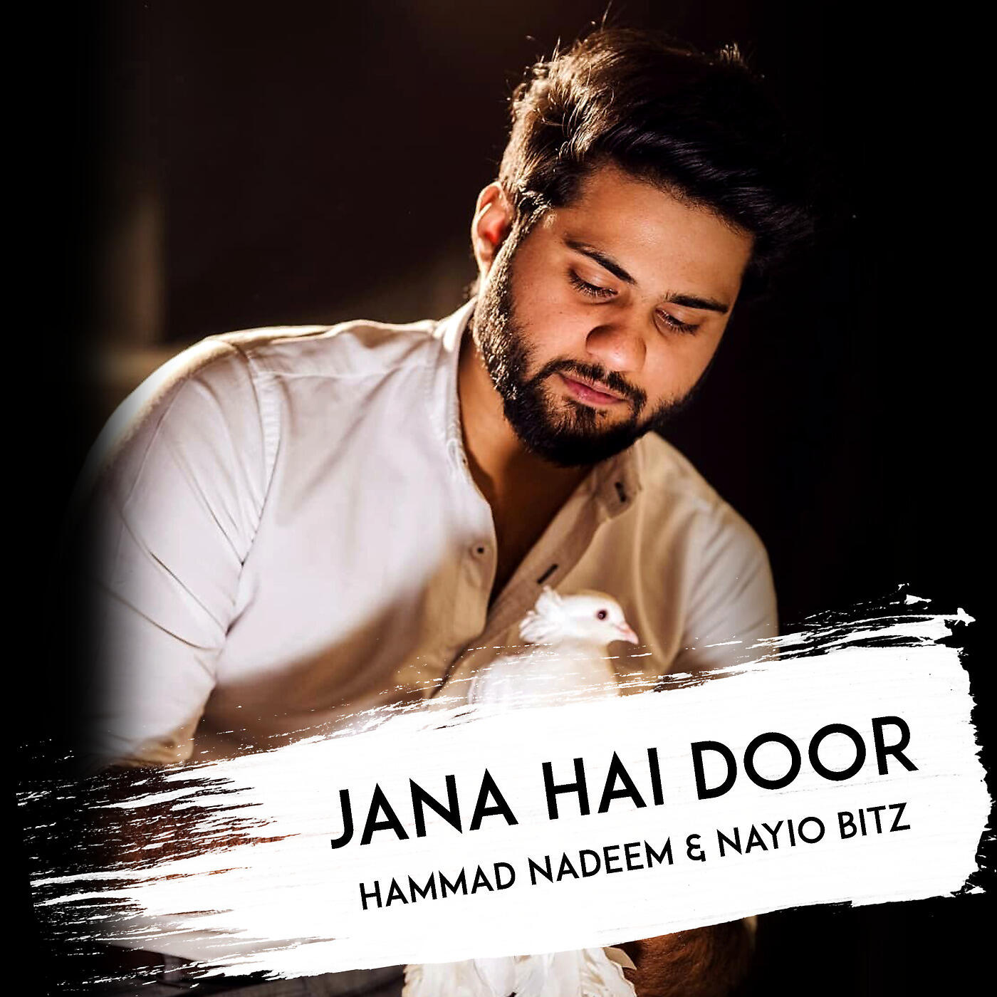 Hammad Nadeem - Jana Hai Door