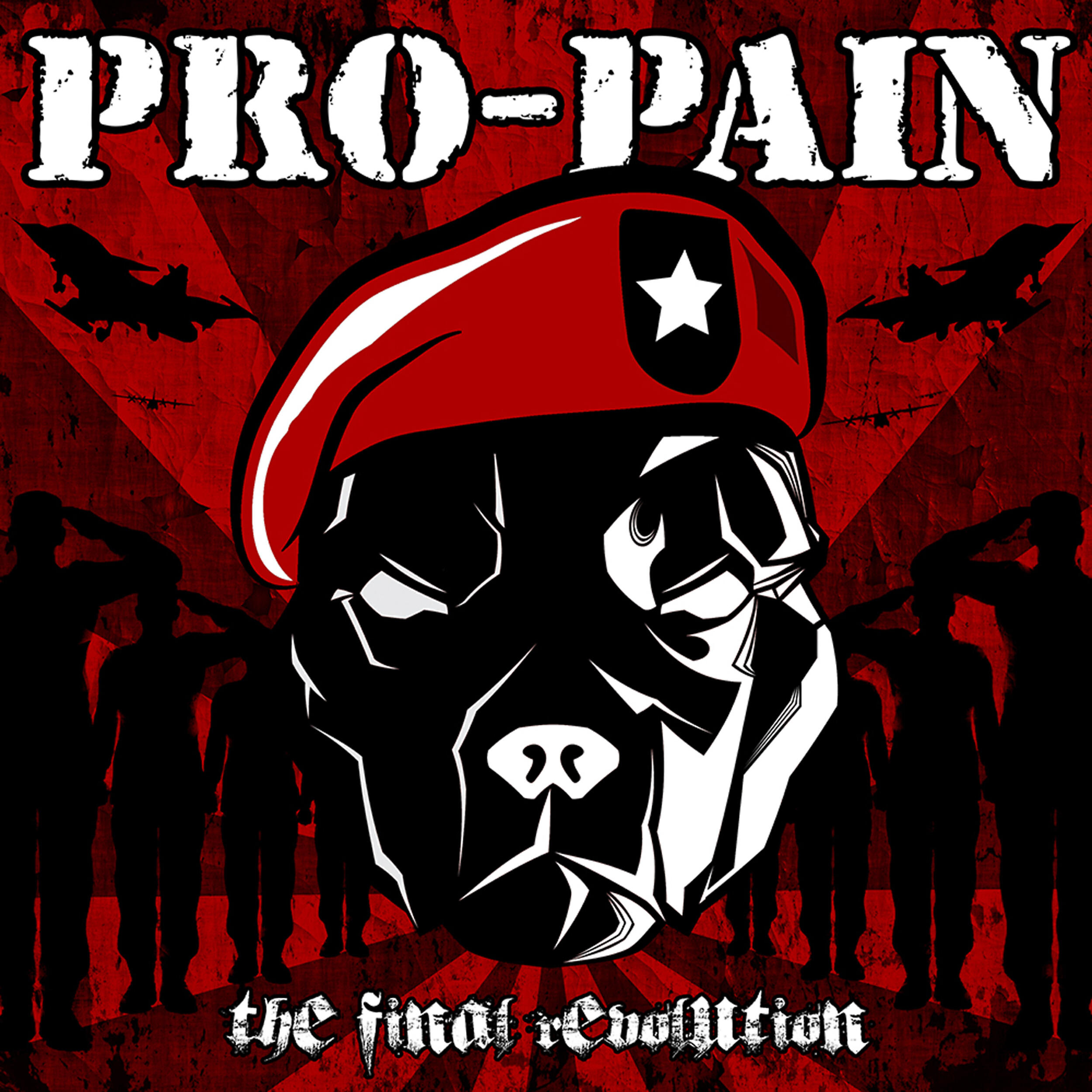 Pain the best. Pro pain act of god. Pro-pain albums. Группа pro-pain. Группа pain альбомы.