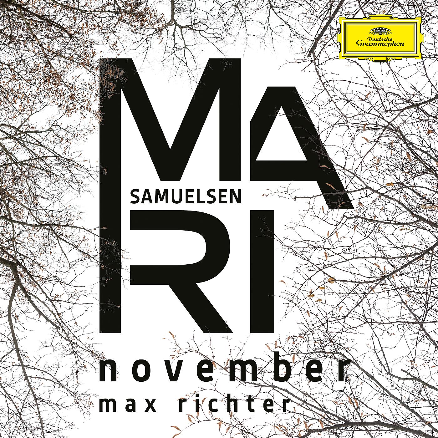 Постер альбома Richter: November