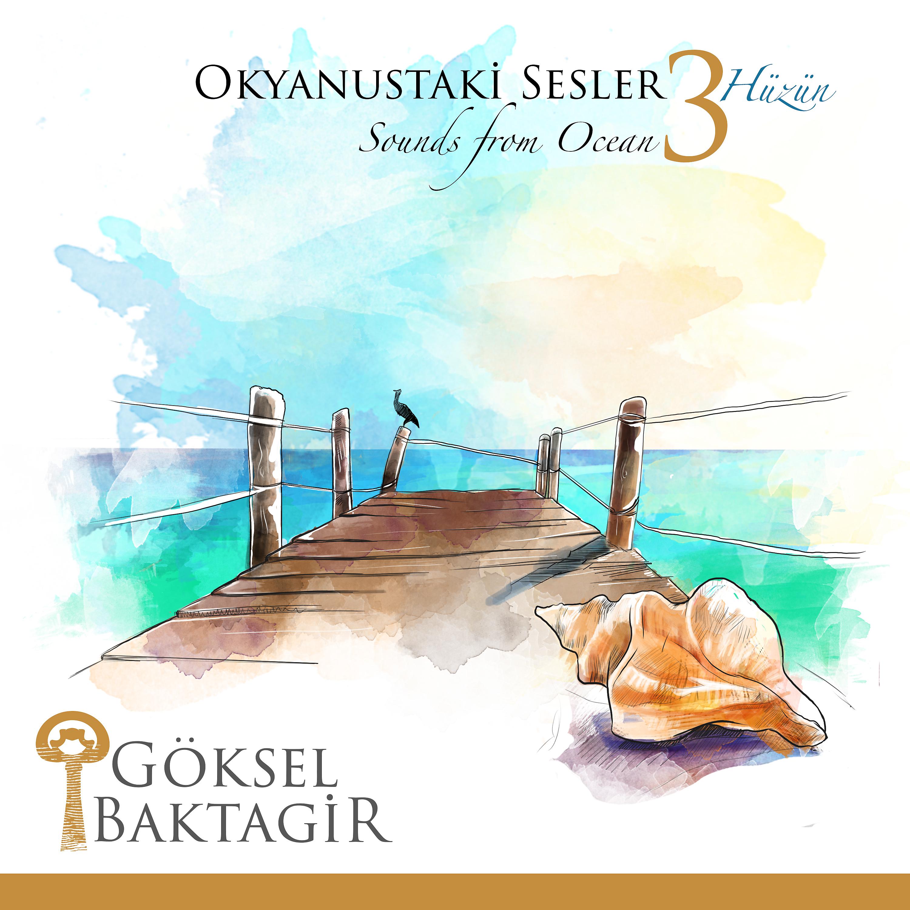 Göksel Baktagir - Muhayyer Çeşitleme