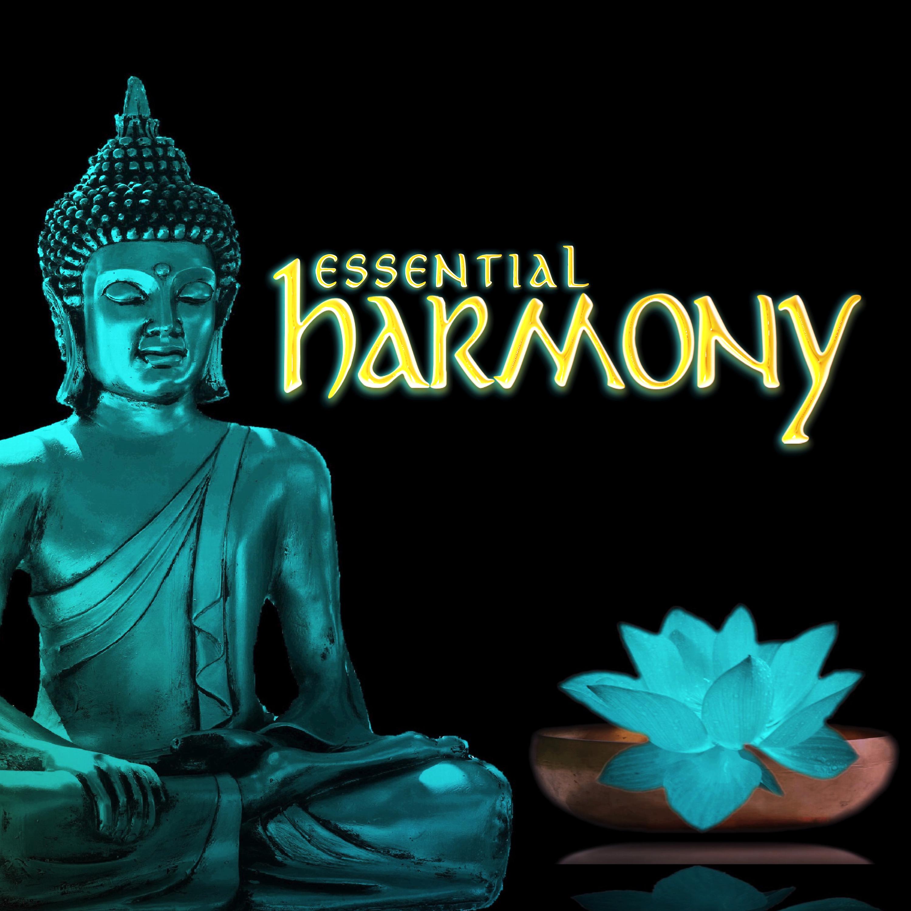 Постер альбома Essential Harmony