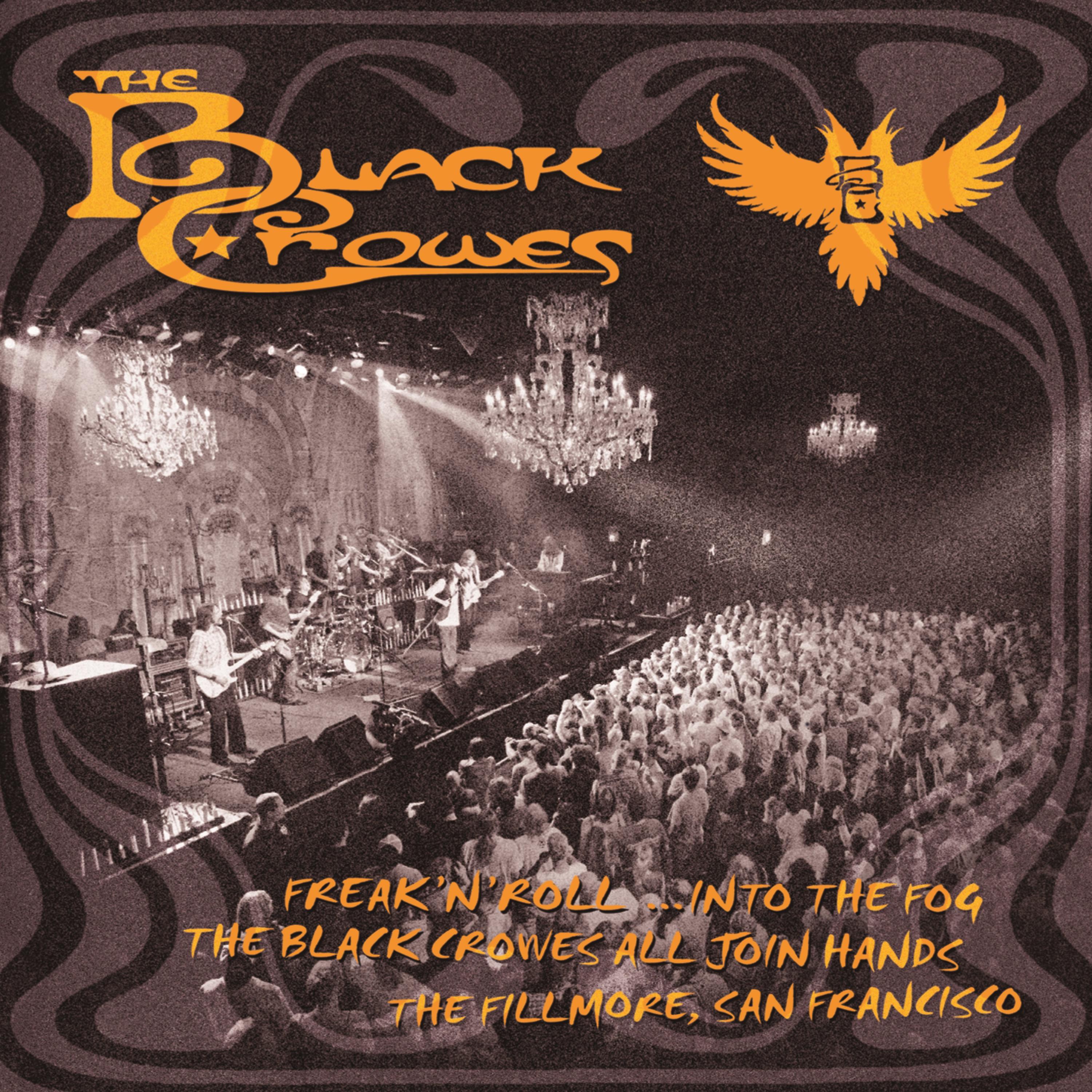 Постер альбома Freak 'N' Roll...Into the Fog: The Black Crowes All Join Hands (The Fillmore, San Francisco)