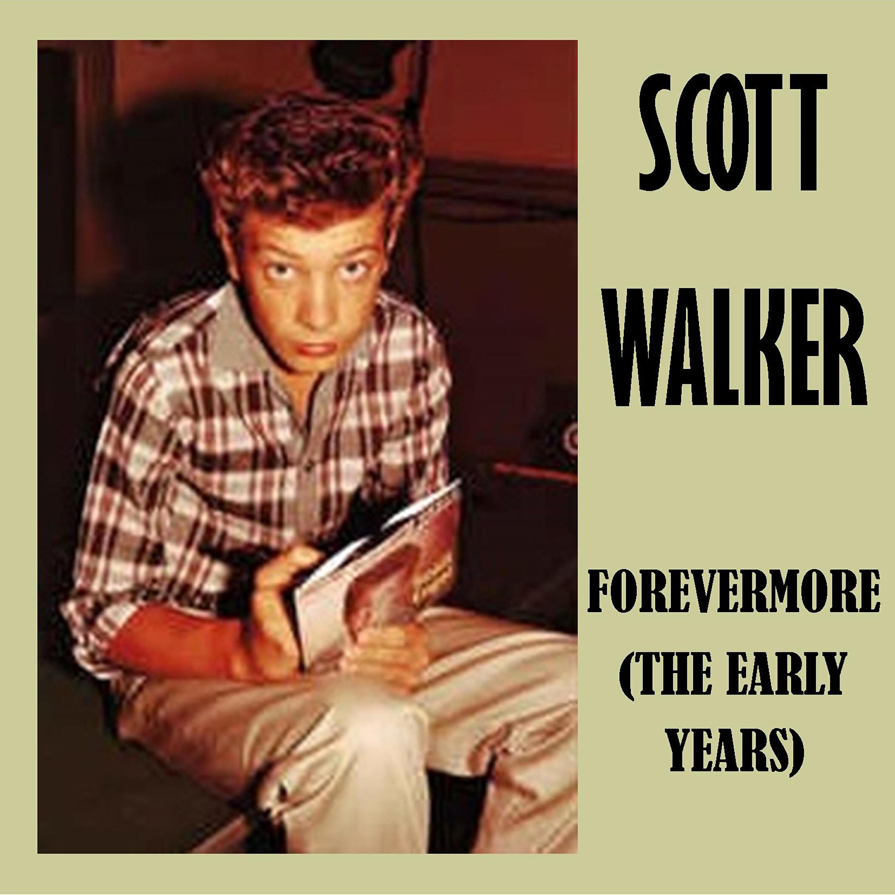 Scott Walker - Steady as a Rock