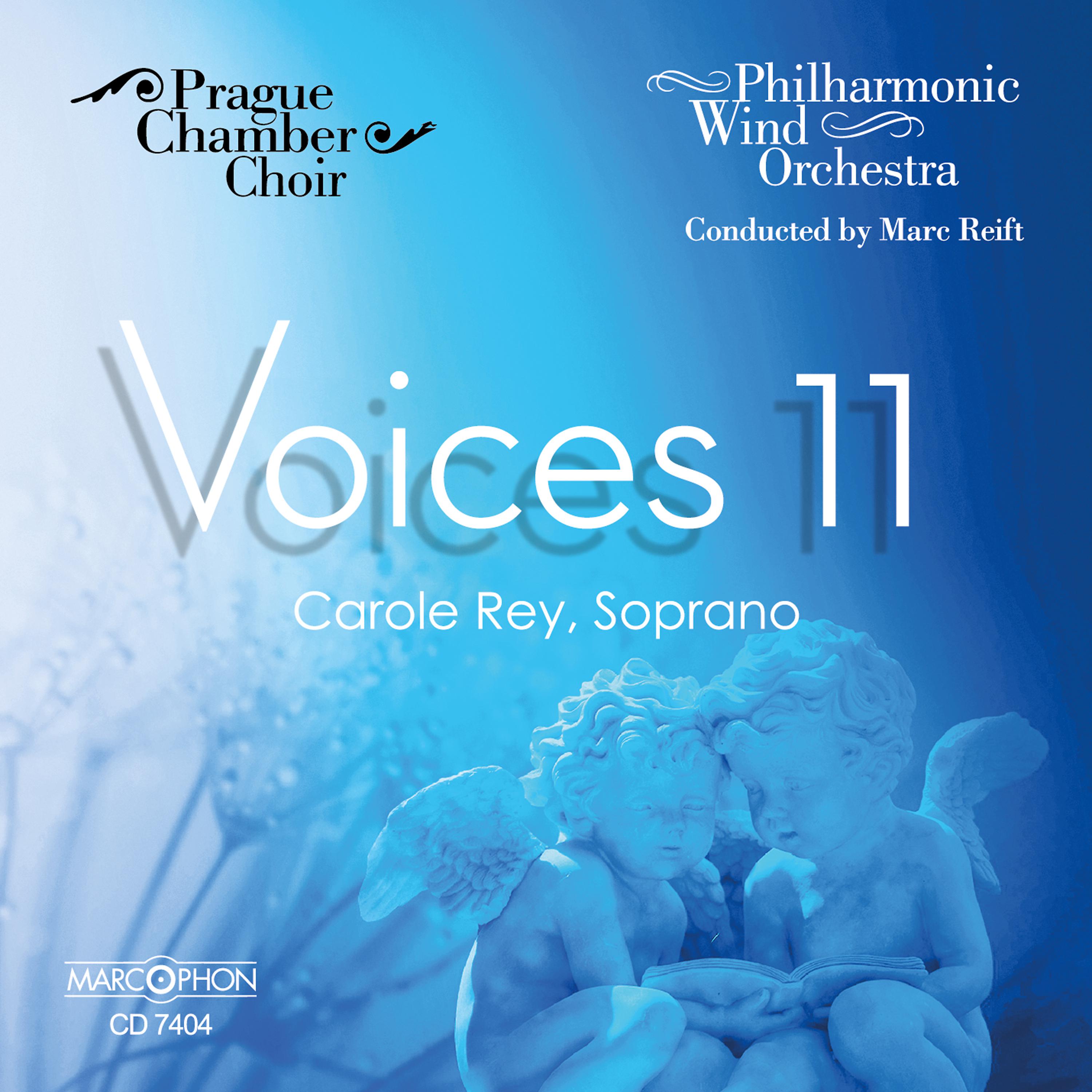 Постер альбома Voices 11