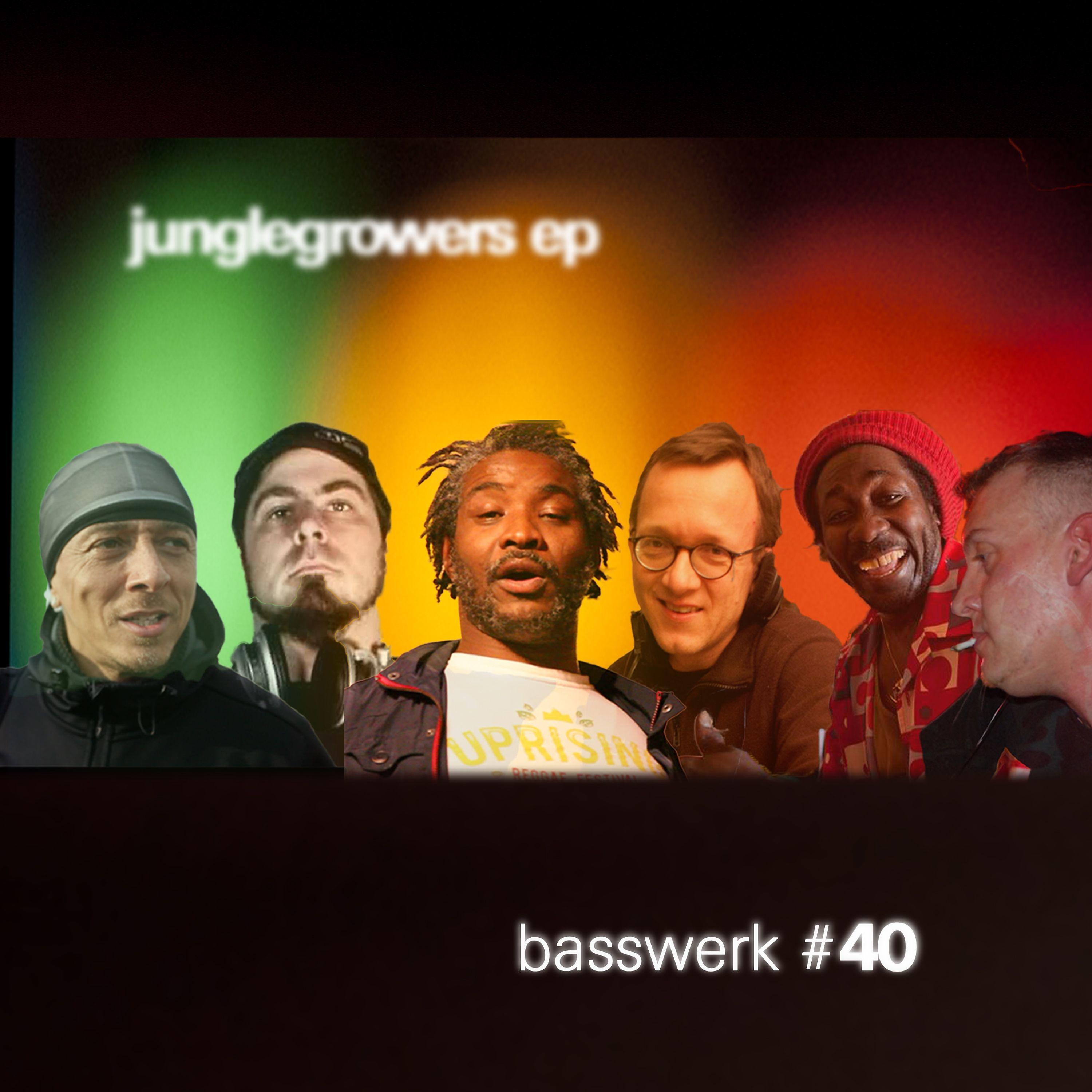 Постер альбома Basswerk 40