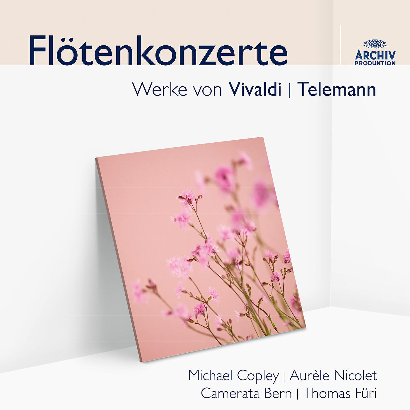 Michael Copley - Vivaldi: Concerto for Recorder, Strings and Harpsichord in F RV 442 - 3. Allegro