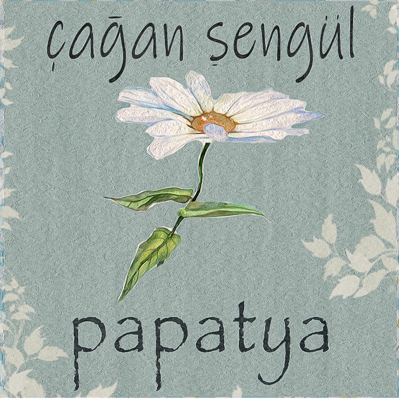 Çağan Şengül - Papatya
