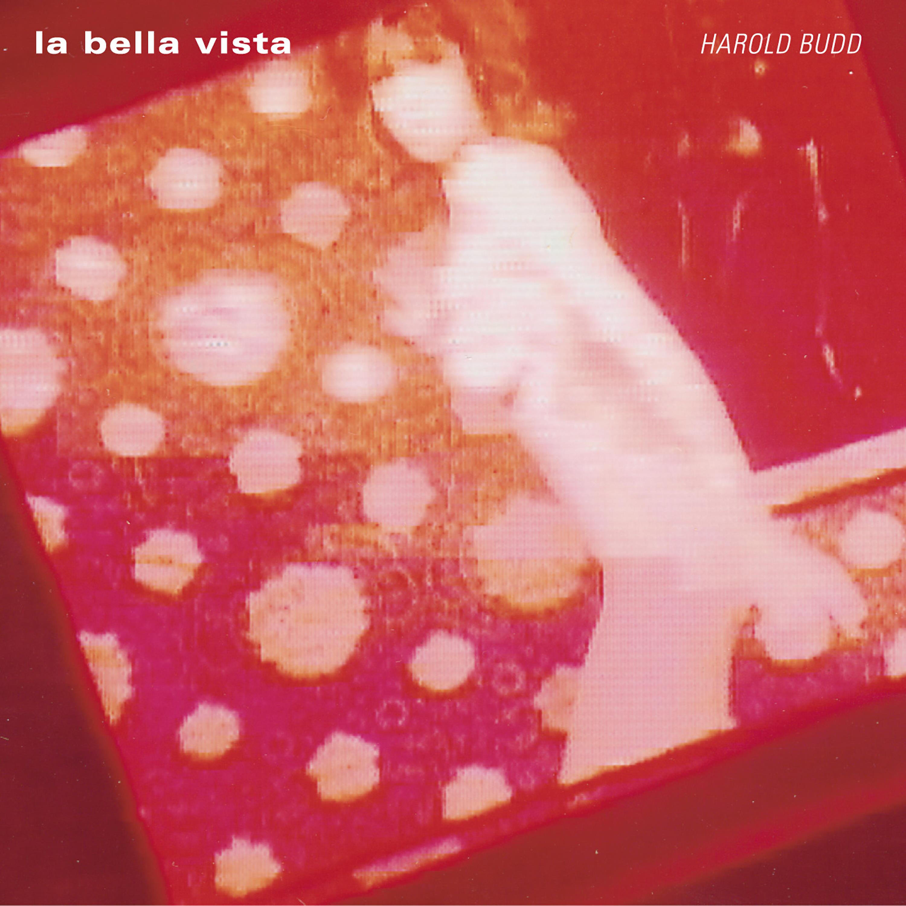 Harold Budd - Bird Charmer