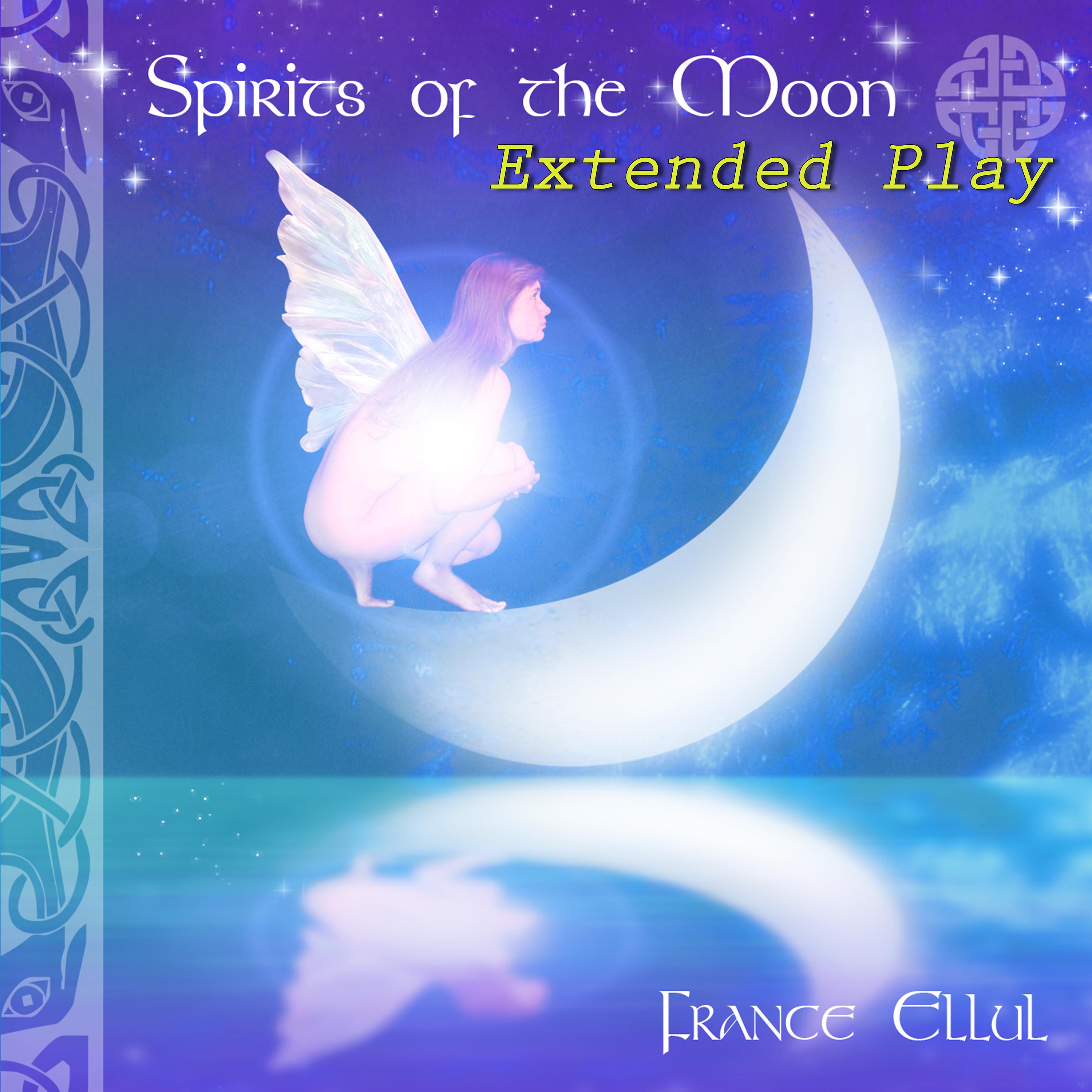 Постер альбома Spirits of the Moon