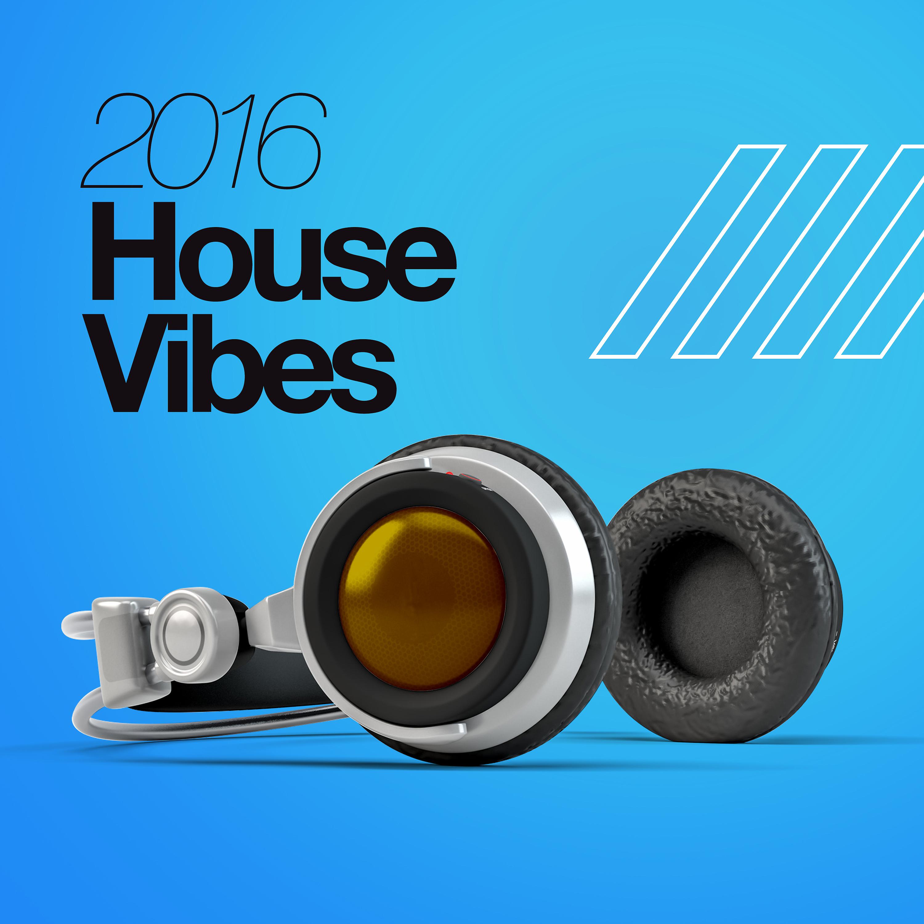 Постер альбома 2016 House Vibes