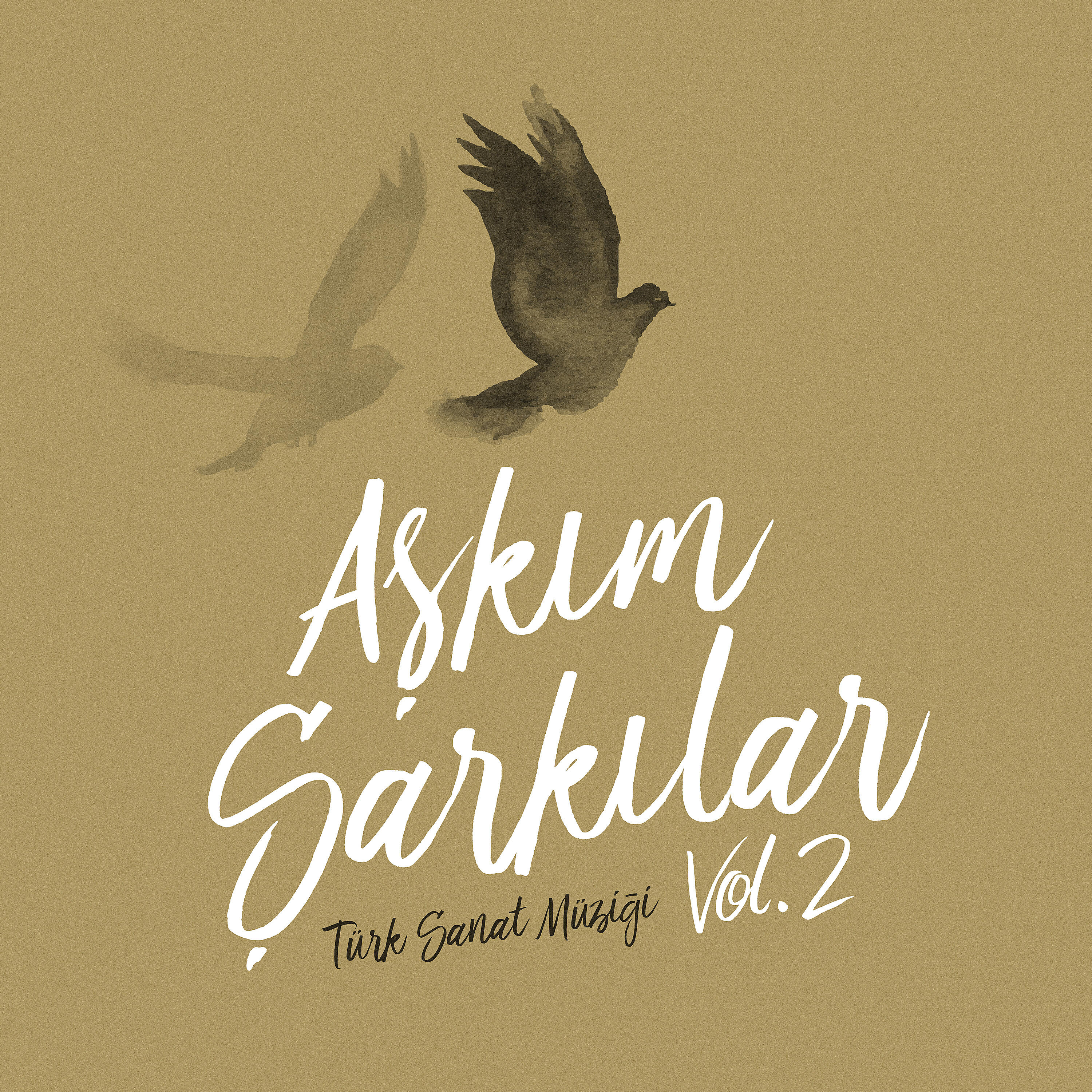 Aşkım Şarkılar - Bu Gala Daşlı Gala