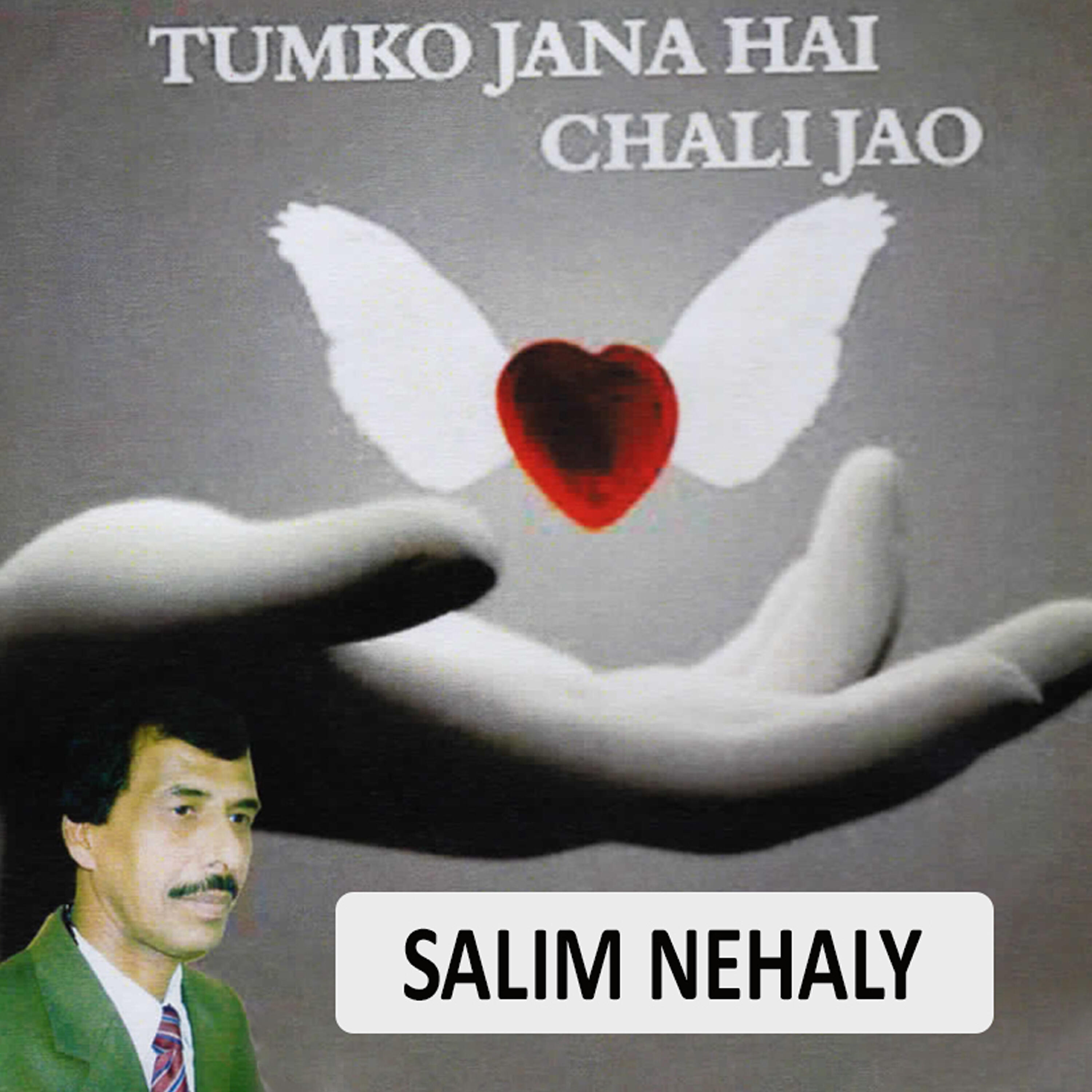 Salim Nehaly - Sir Utha Ke Mat Chaliye