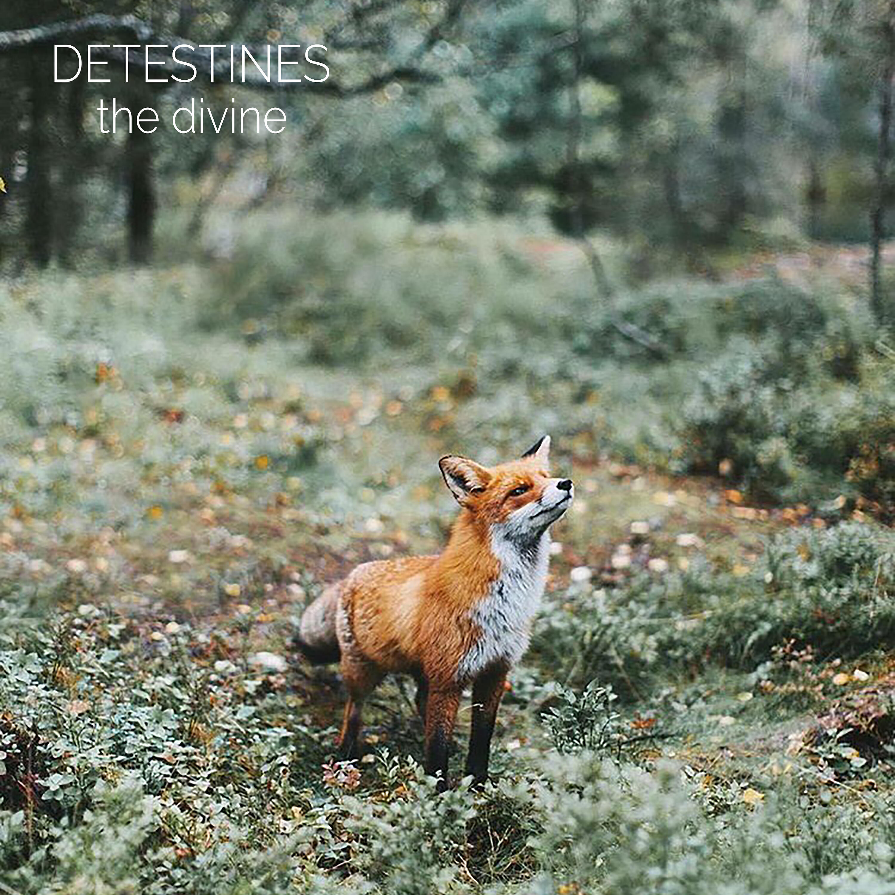 Detestines - Primordial Twerkers