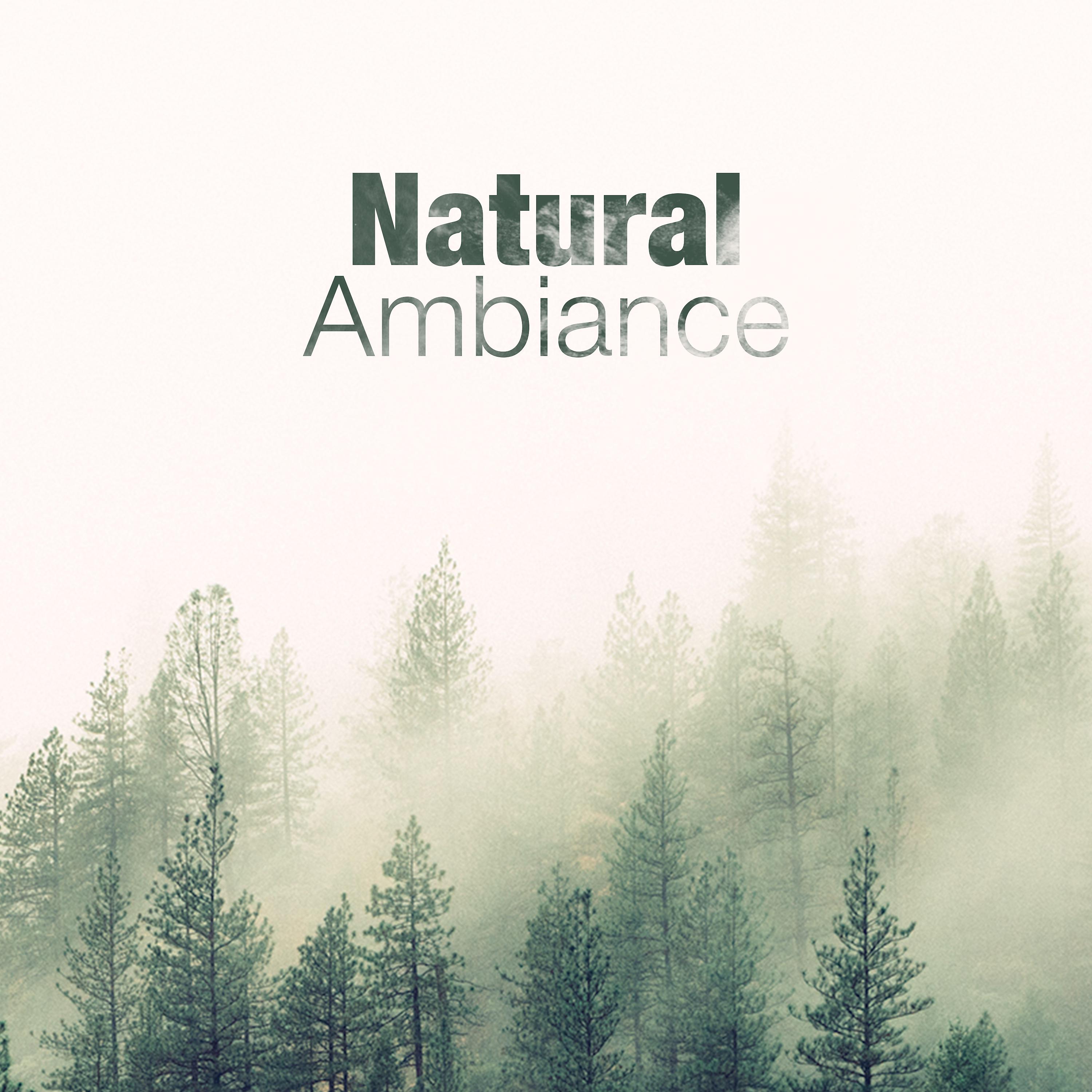 Постер альбома Natural Ambiance