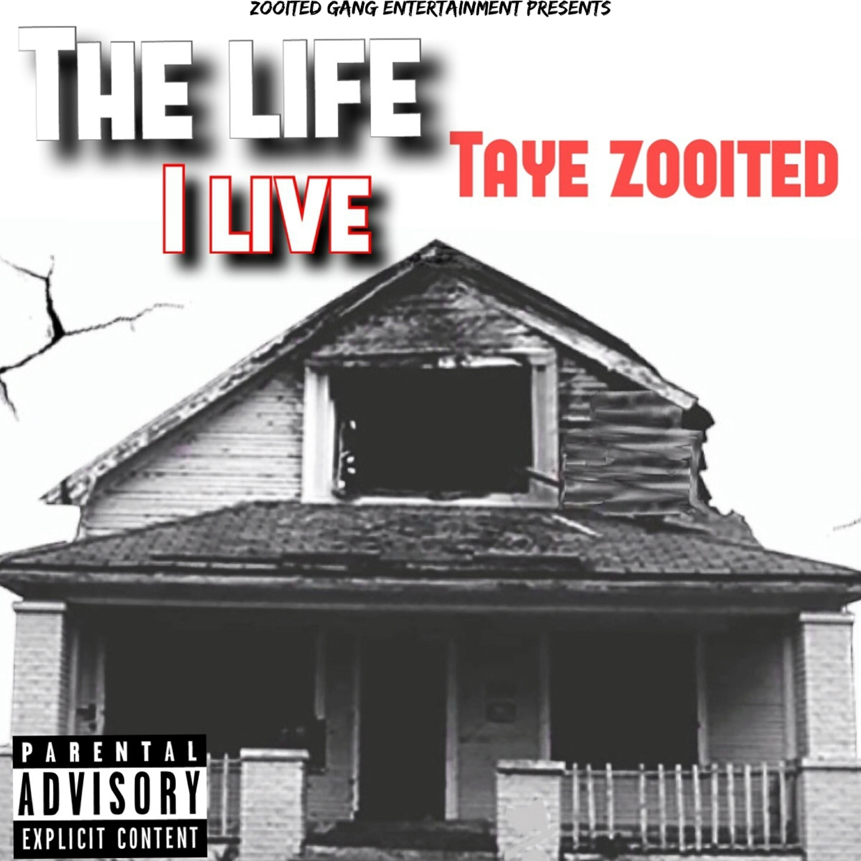 Taye Zooited - I Been Working