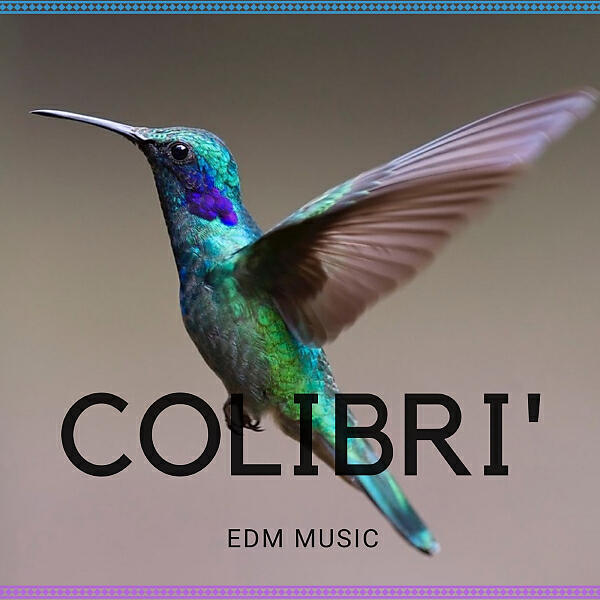DIGILIO EDM - Fantastic Day