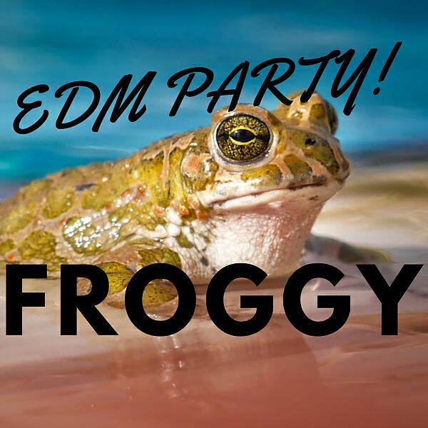 DIGILIO EDM - Akron Beach