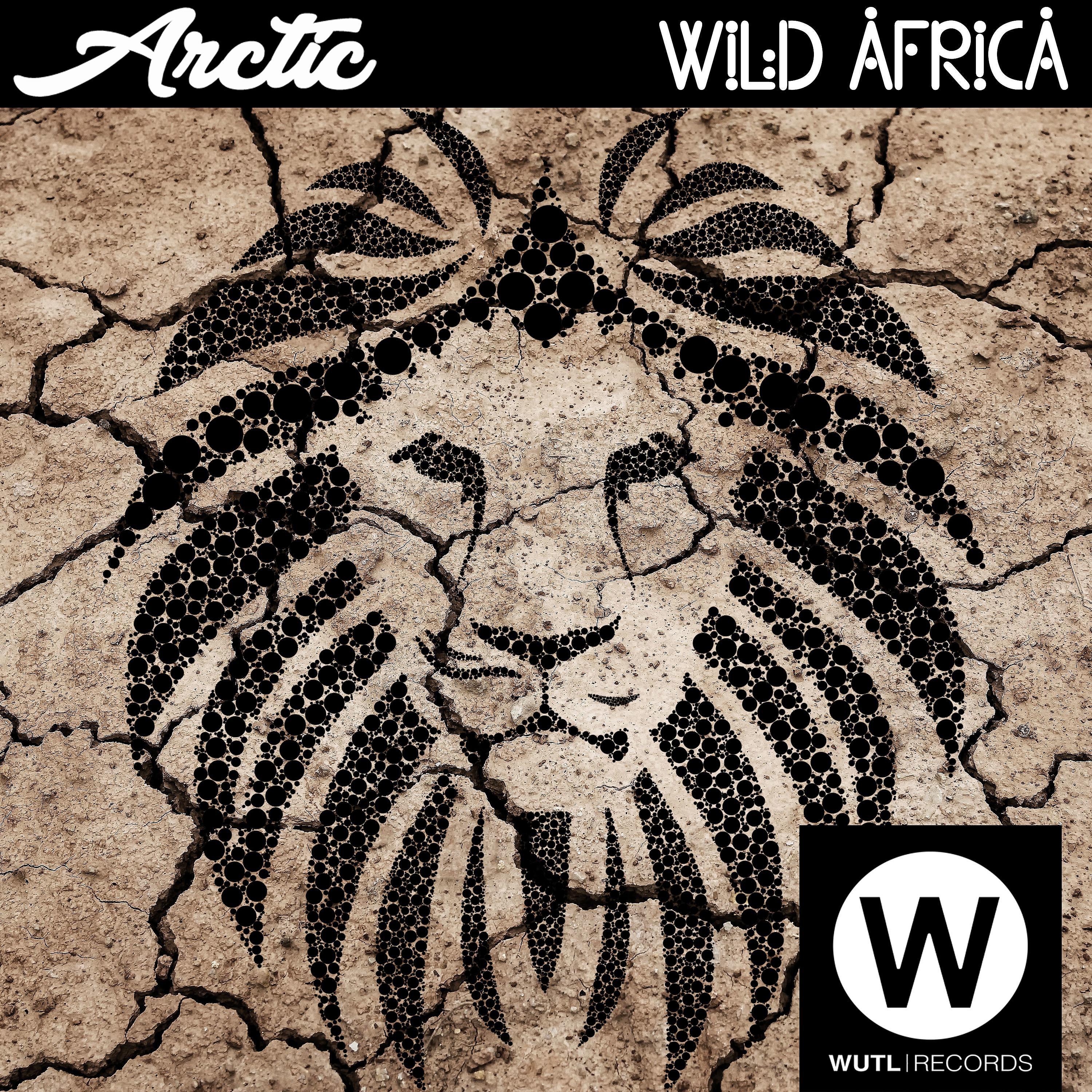 Постер альбома Wild Africa