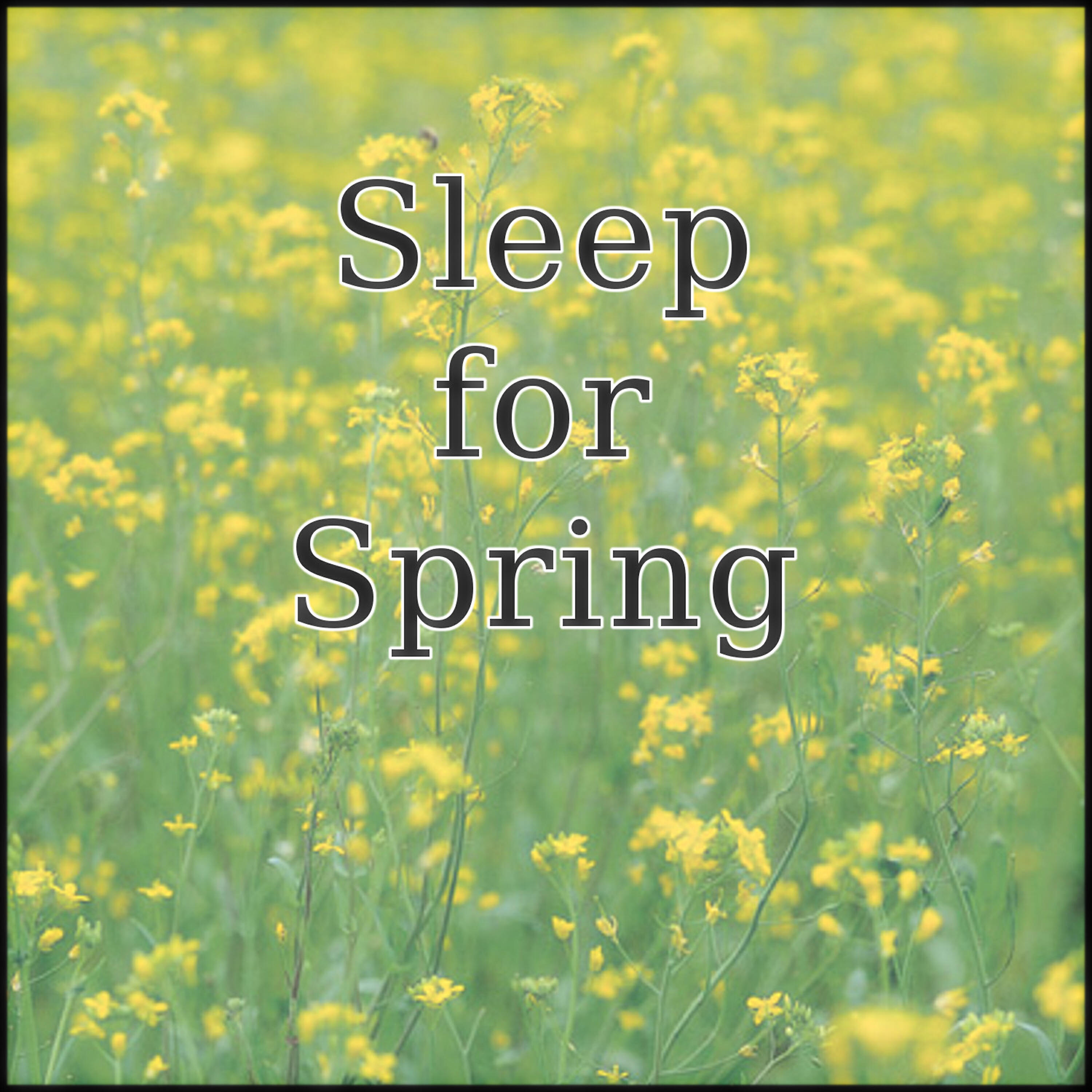 Sleep Music Laboratory - Music for Sleep in the Spring of Life Cycle Change 