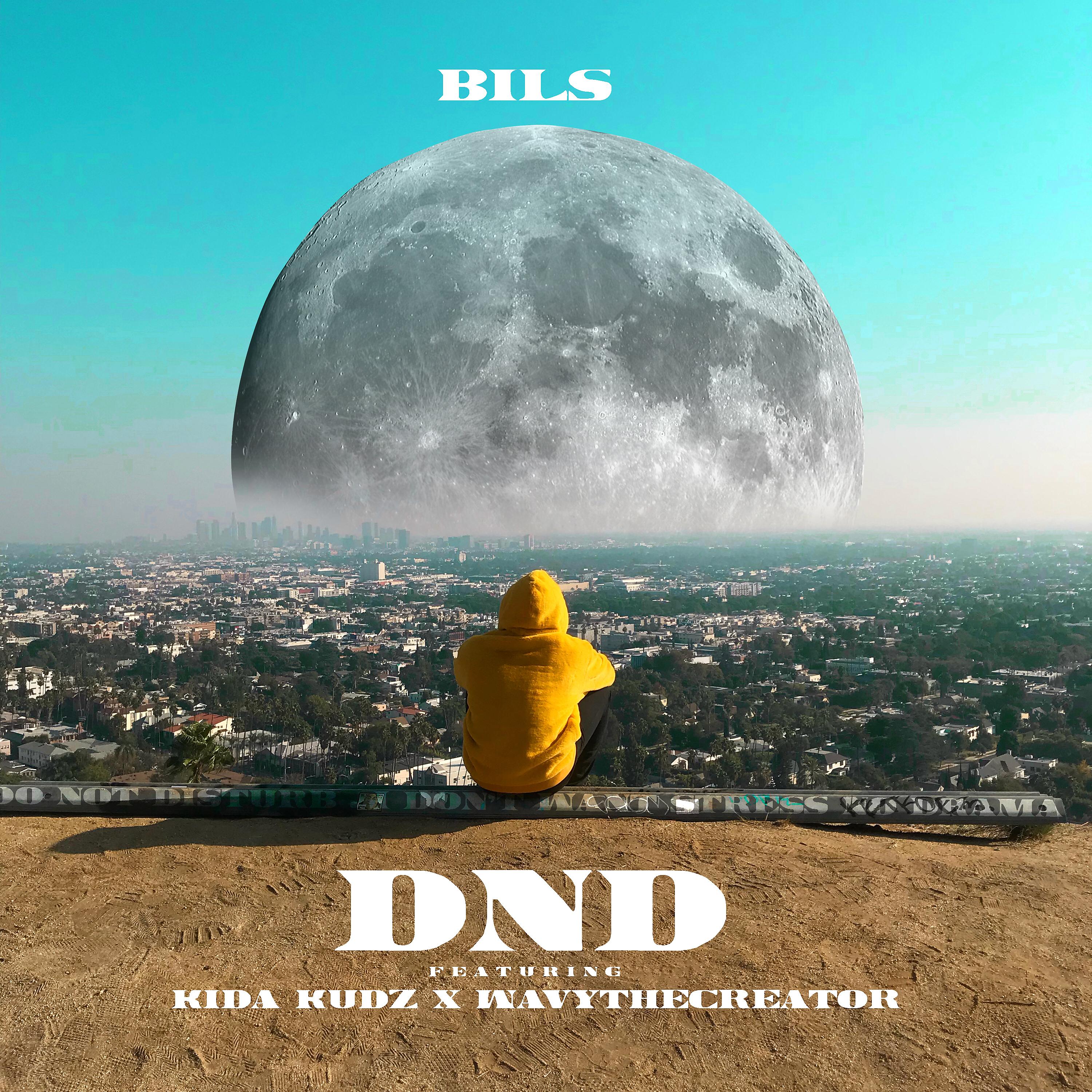 Постер альбома DND (feat. Kida Kudz & WavyTheCreator)