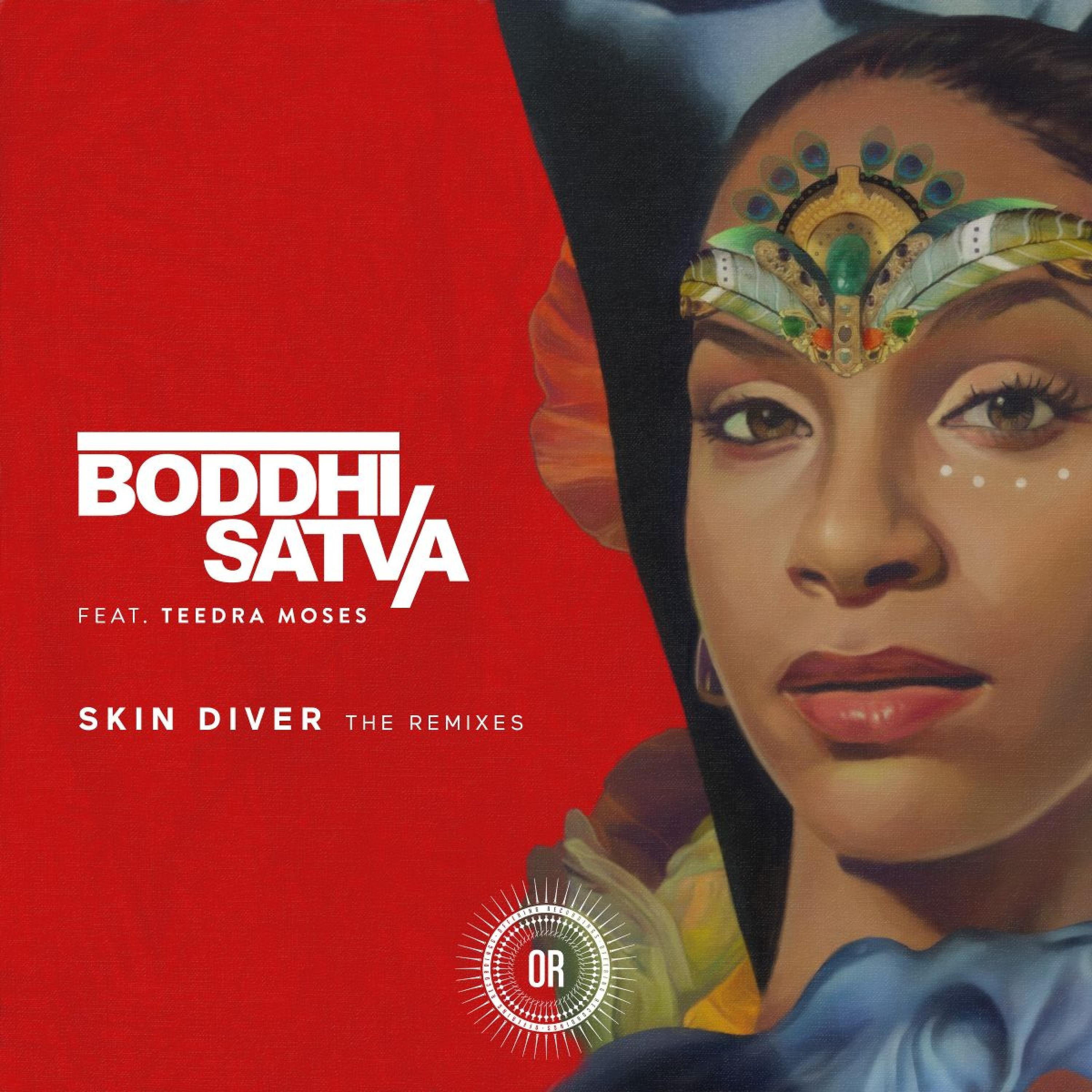 Постер альбома Skin Diver