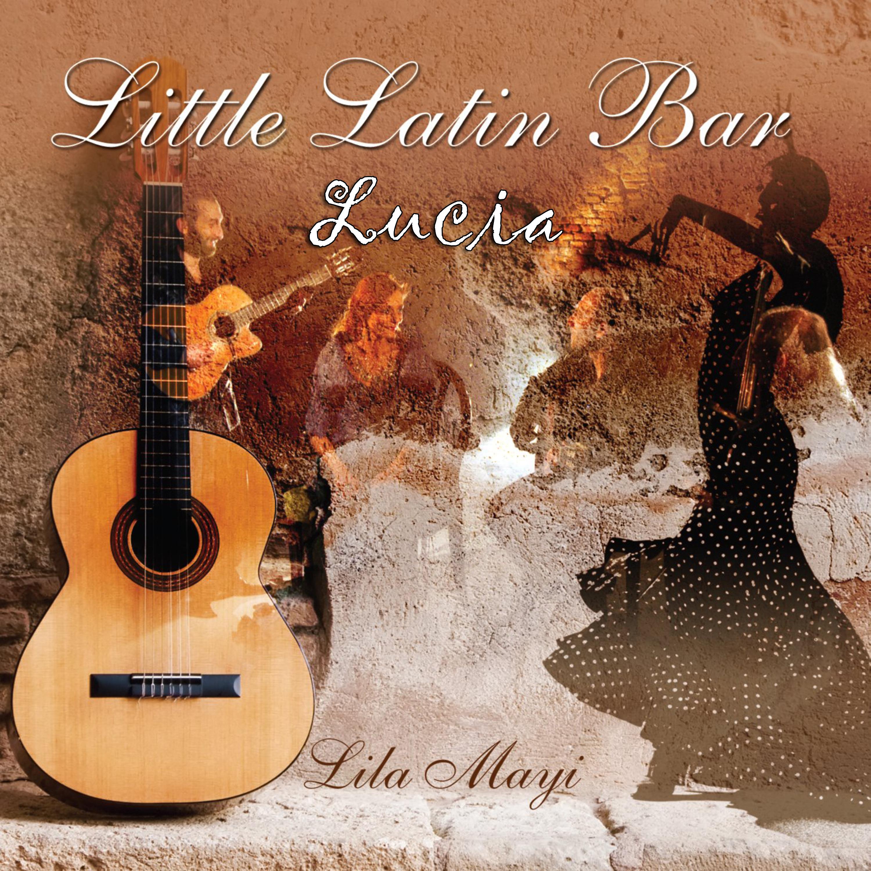 Постер альбома Little Latin Bar - Lucia