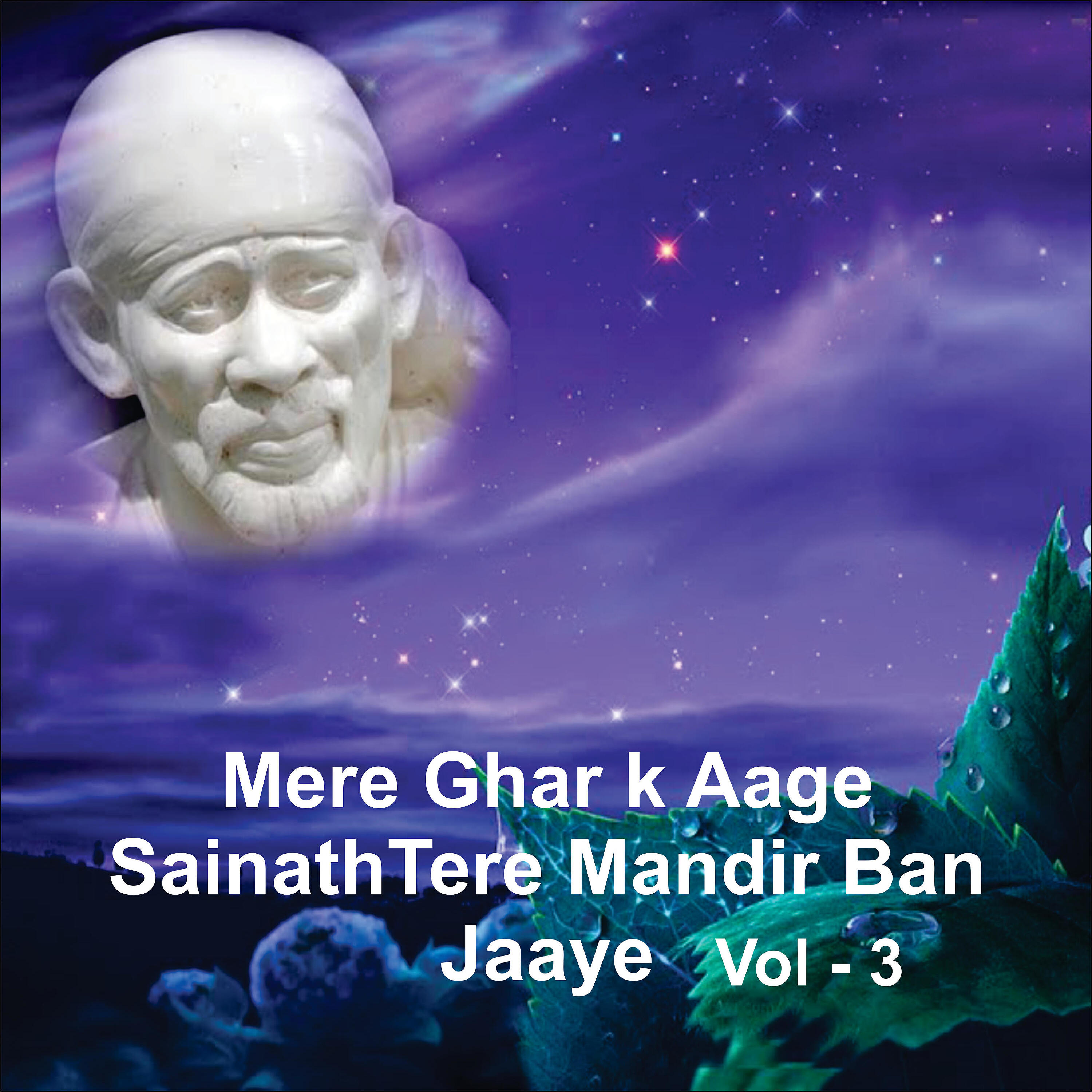 Paras Jain - Tan Shirdi Man Dwarka